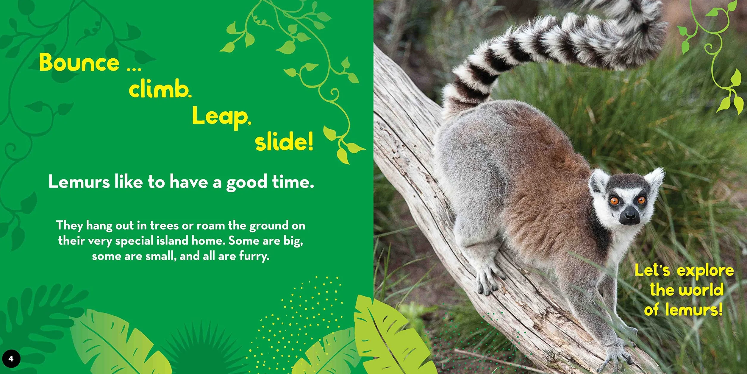 Go Wild! Lemurs