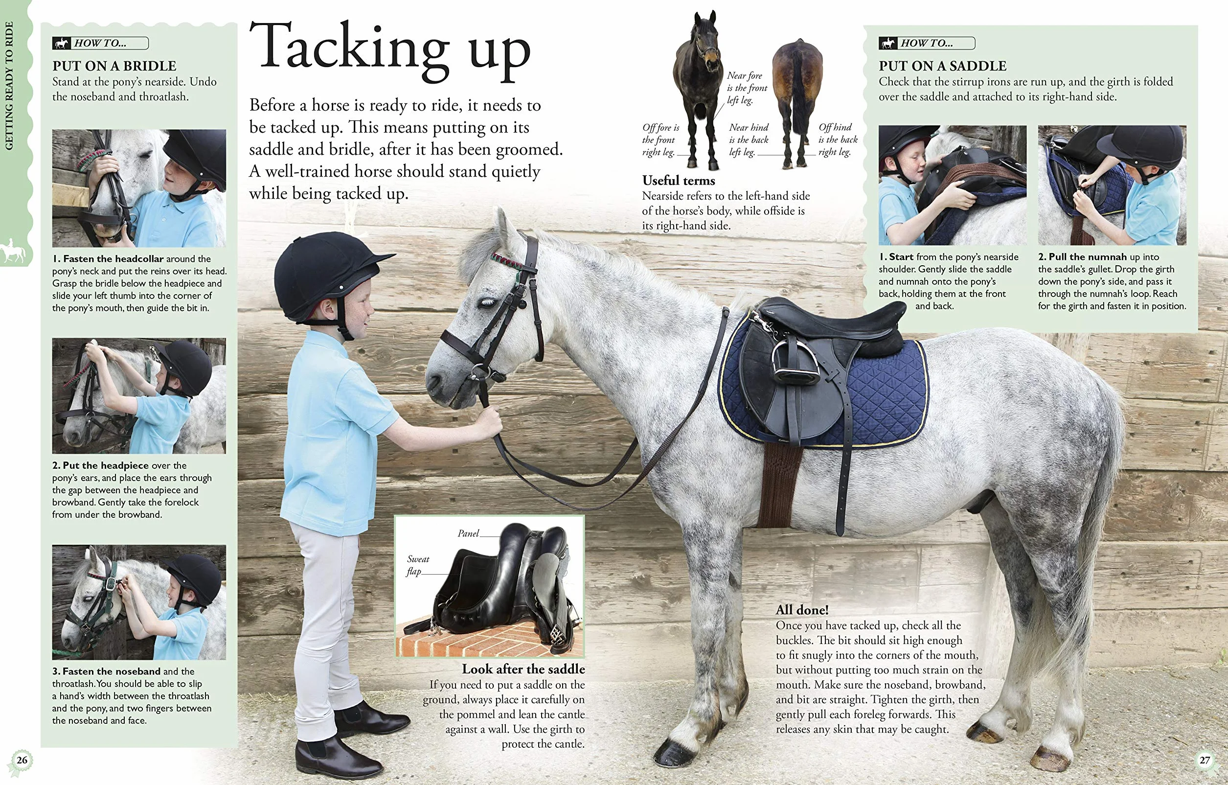 How To...Horse Riding: A Step-by-Step Guide to Mastering Your Skills