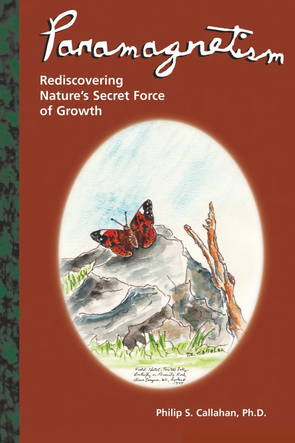 Paramagnetism: Rediscovering Nature's Secret Force of Growth