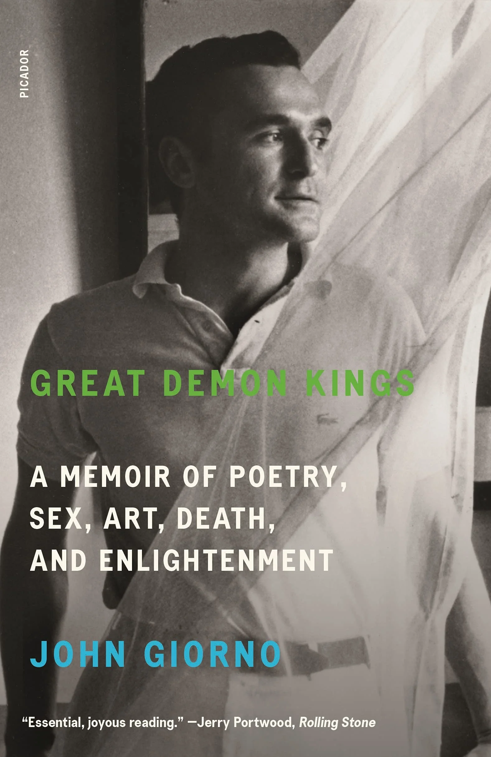 Great Demon Kings: A Memoir of Poetry, Sex, Art, Death, and Enlightenment