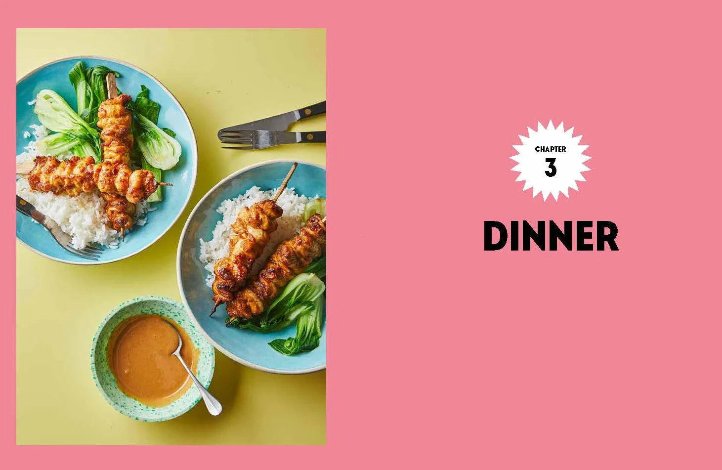 Air Fryer Recipes: 100 Quick Easy Delicious Meals