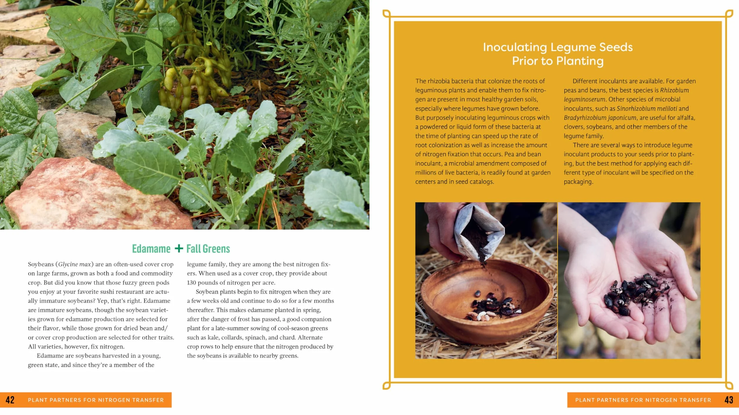 Plant Partners: Science-Based Companion Planting Strategies for the Vegetable Garden