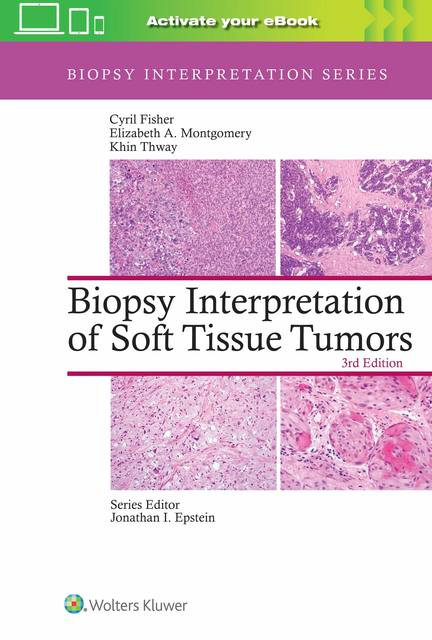 Biopsy Interpretation of Soft Tissue Tumors: Print + eBook with Multimedia