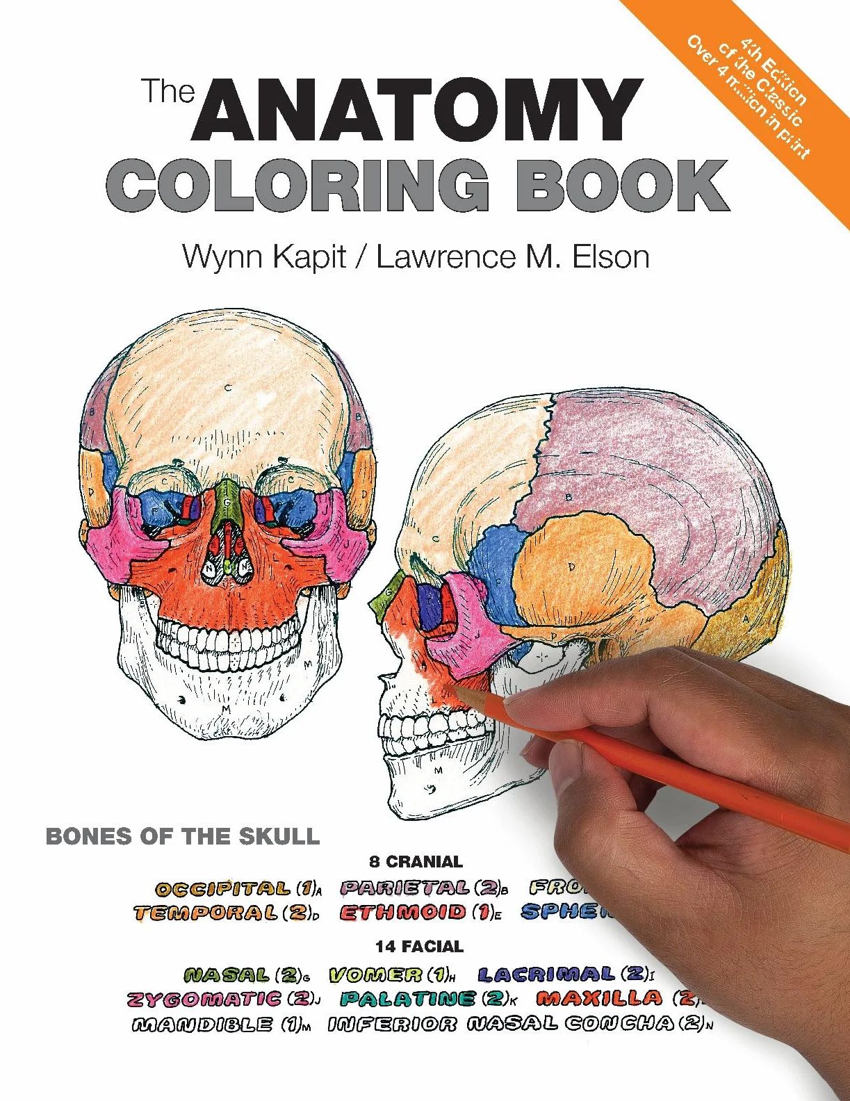 The Anatomy Coloring Book