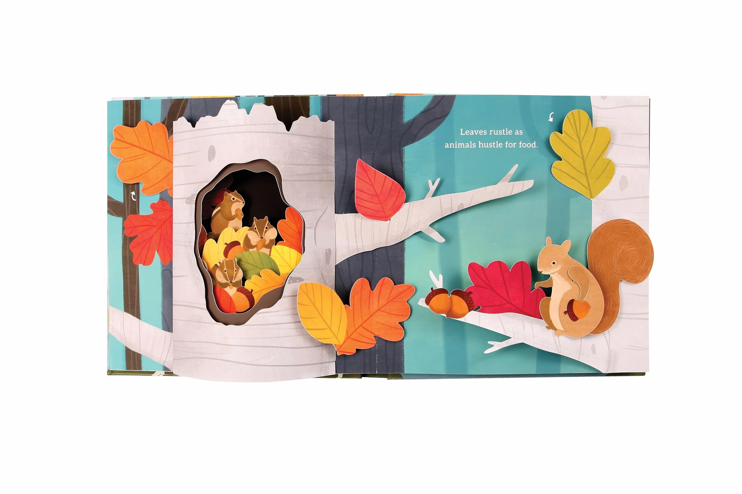 Leaves: An Autumn Pop-Up Book
