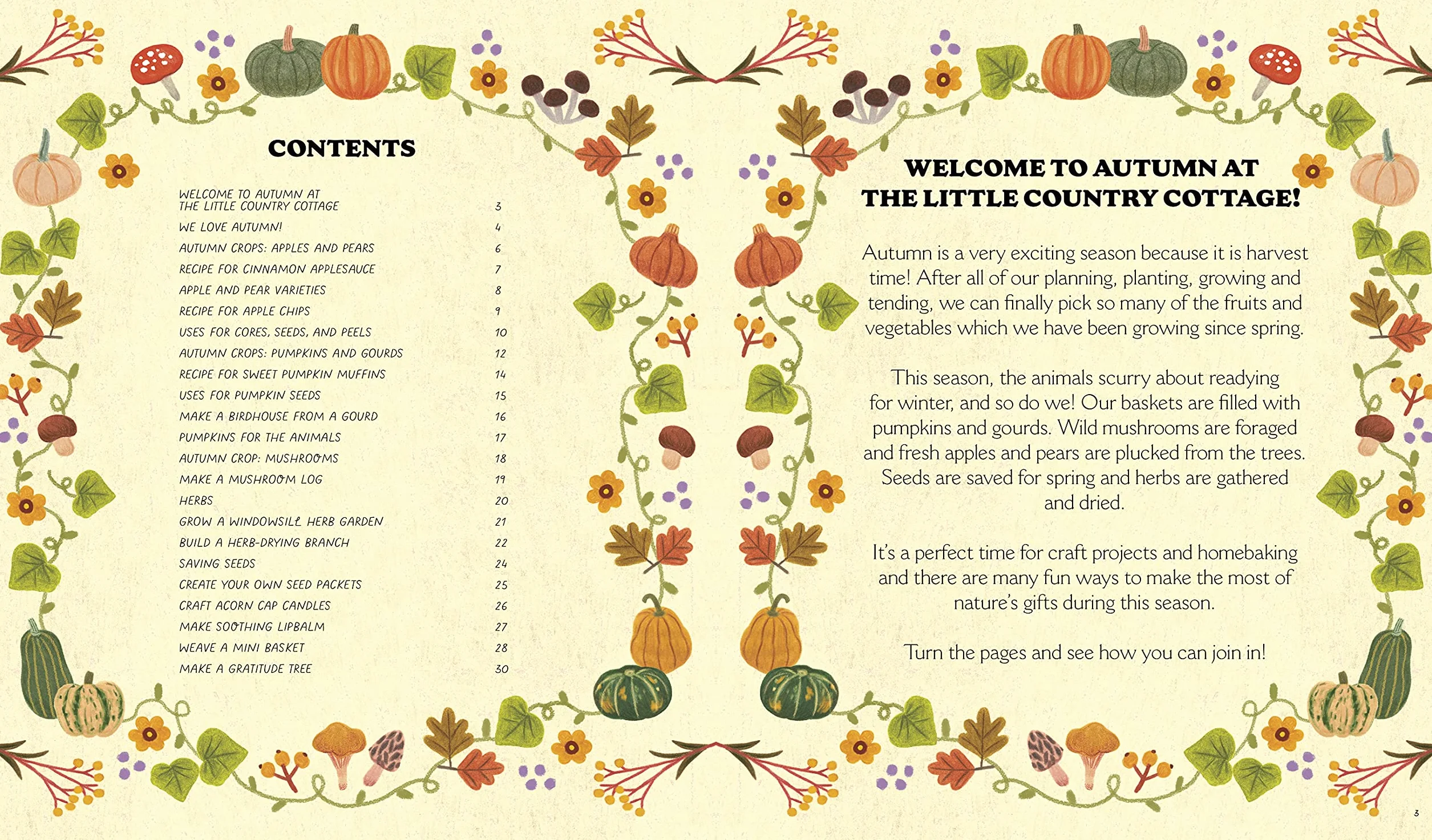 Little Country Cottage: An Autumn Treasury of Recipes, Crafts and Wisdom