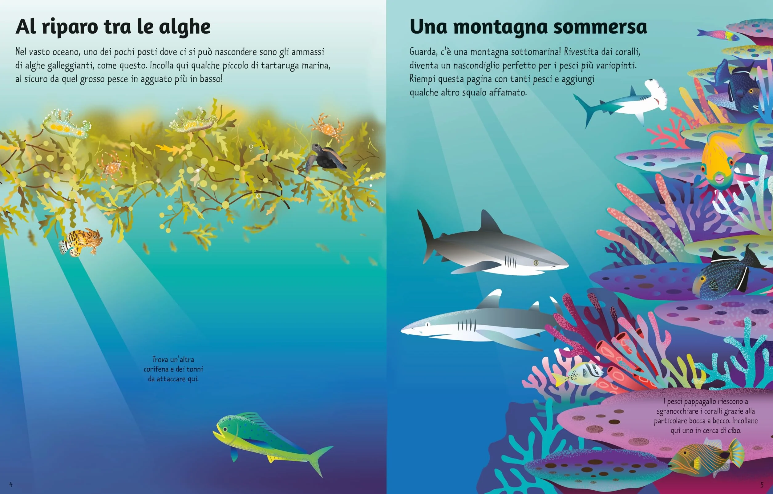 Gli oceani. Con adesivi. Ediz. a colori