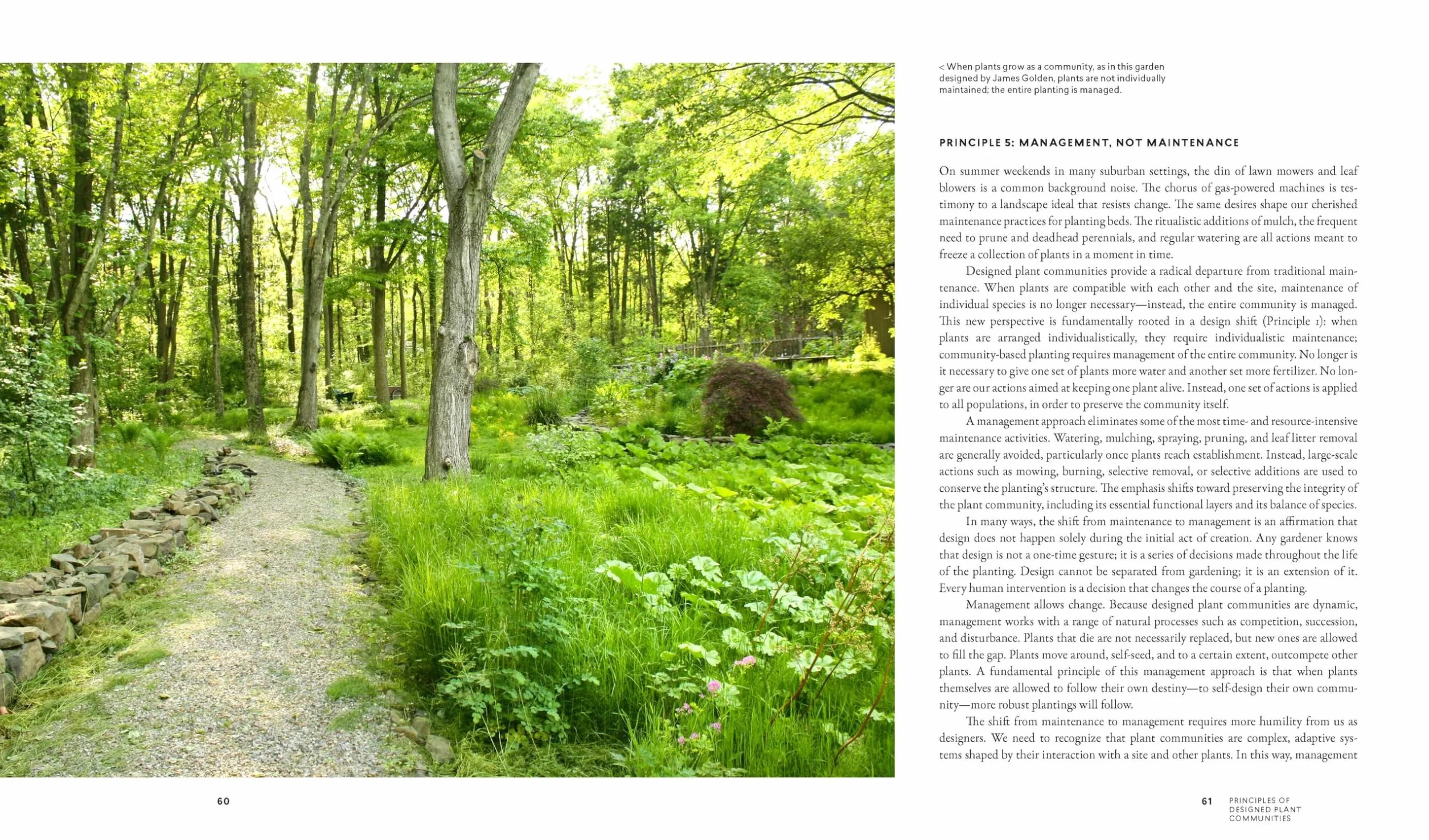 Planting in a Post-Wild World: Designing Plant Communities for Resilient Landscapes