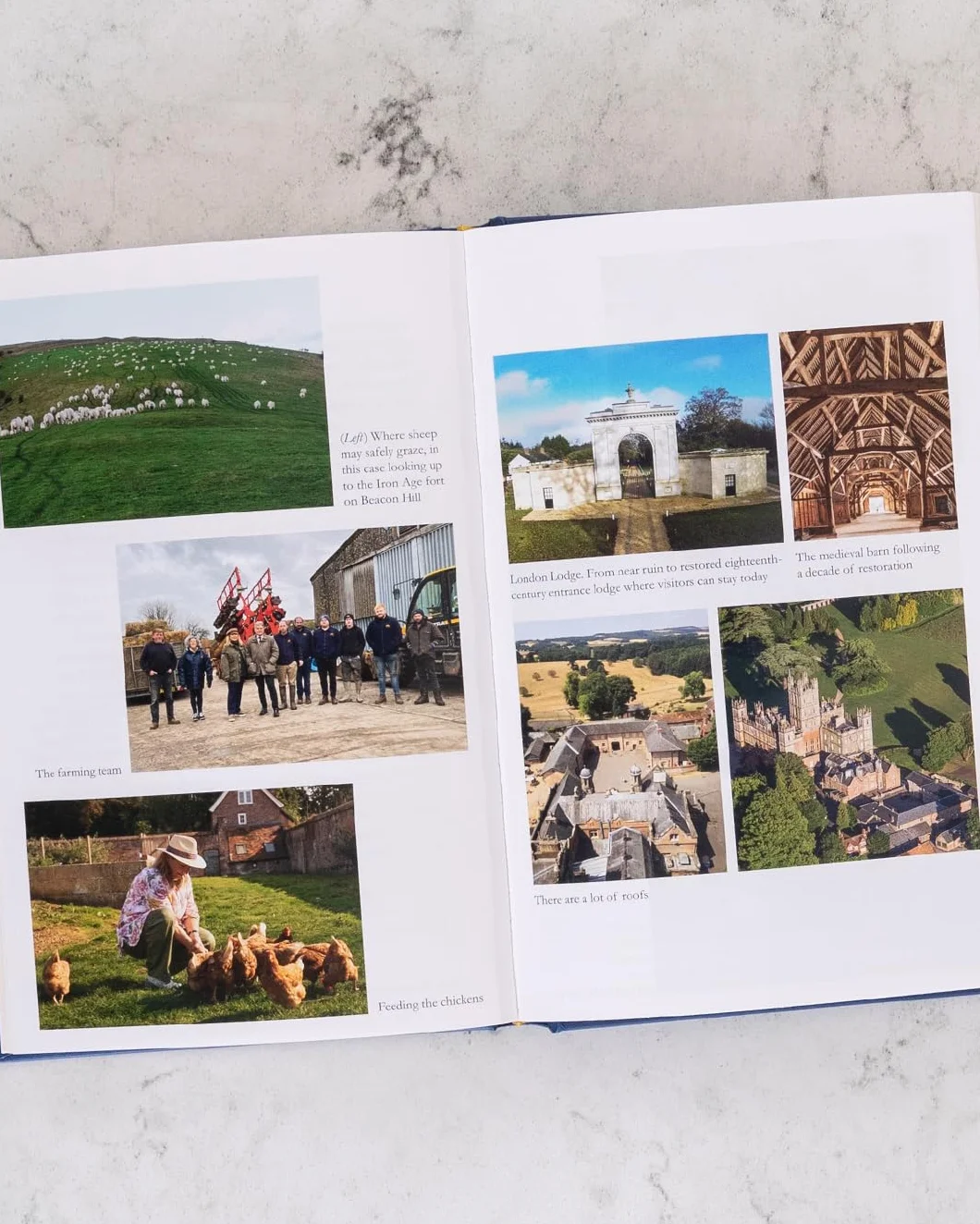A Year at Highclere: Secrets and Stories from the Real Downton Abbey