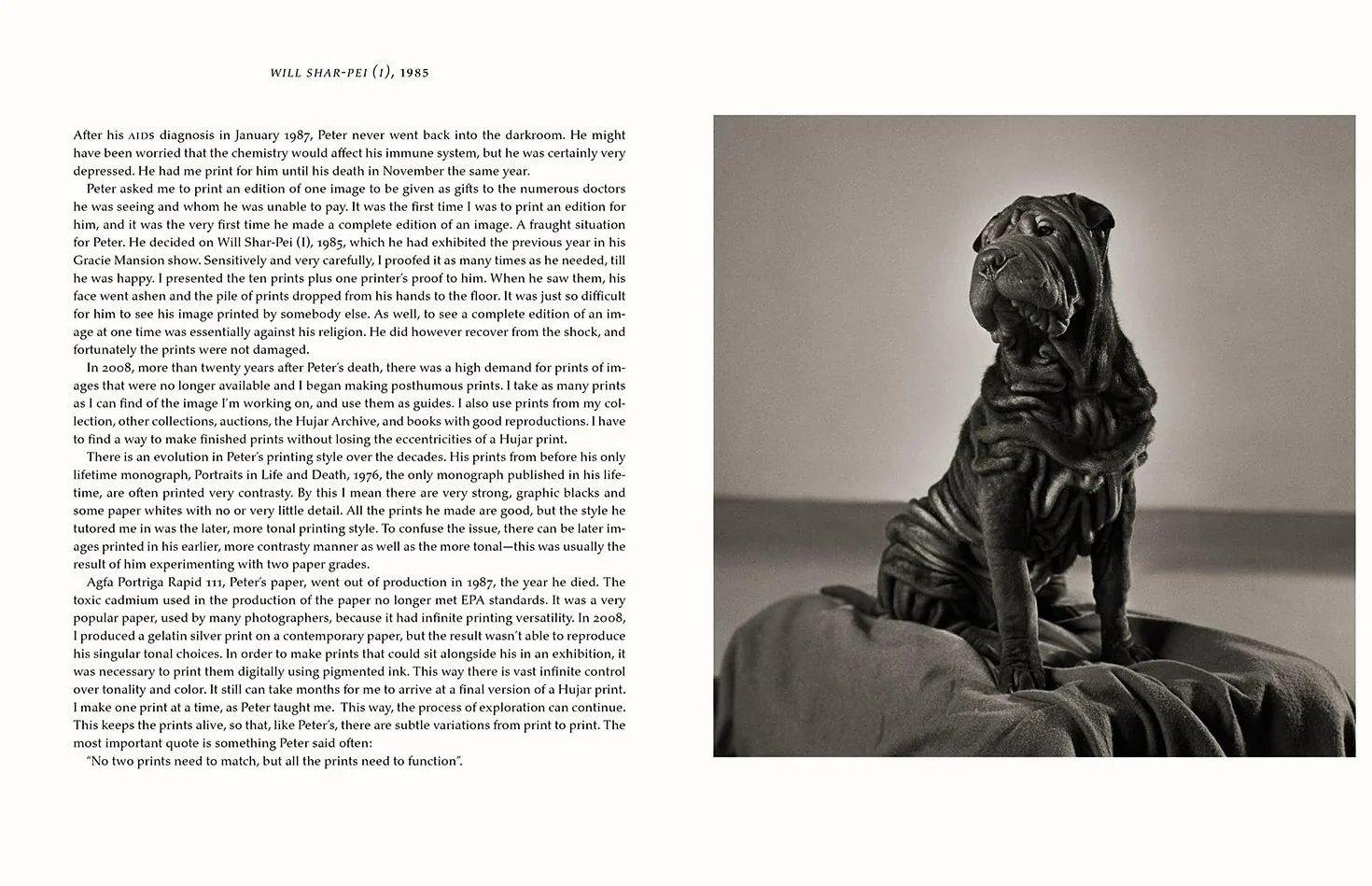 Peter Hujar Behind the Camera and in the Darkroom