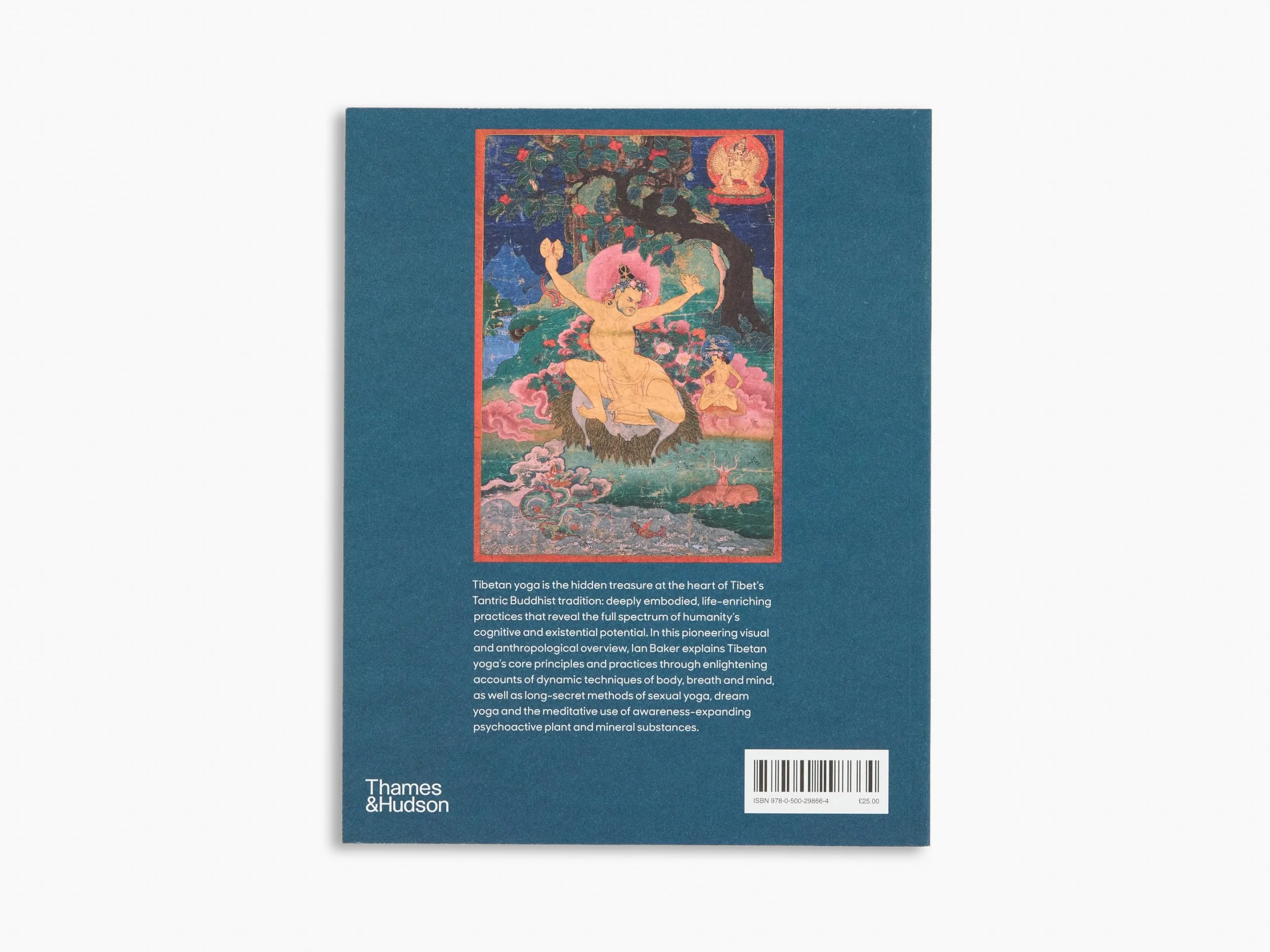 Tibetan Yoga: Principles and Practices (Paperback)