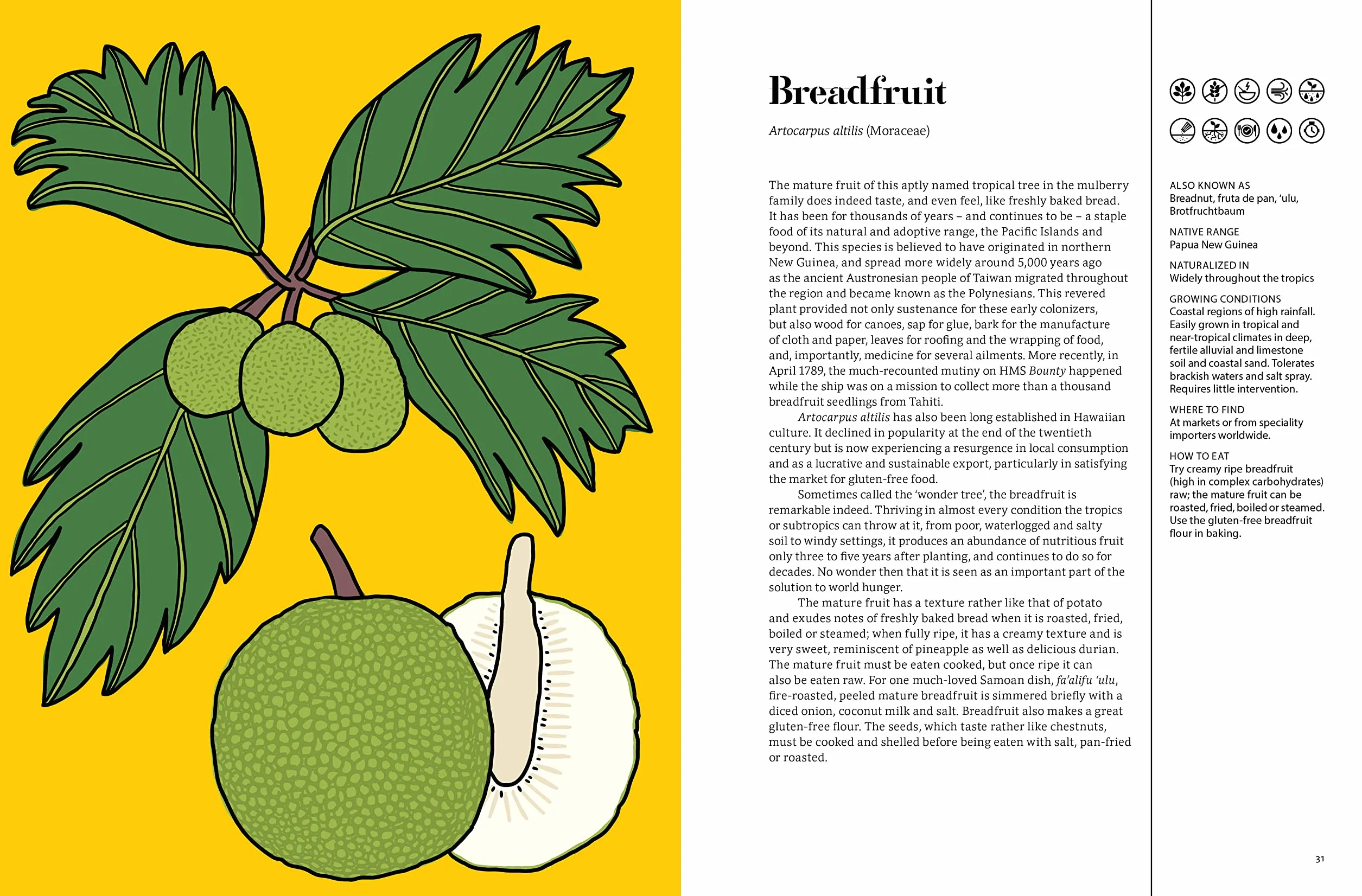 Edible : 70 Sustainable Plants That Are Changing How We Eat /anglais
