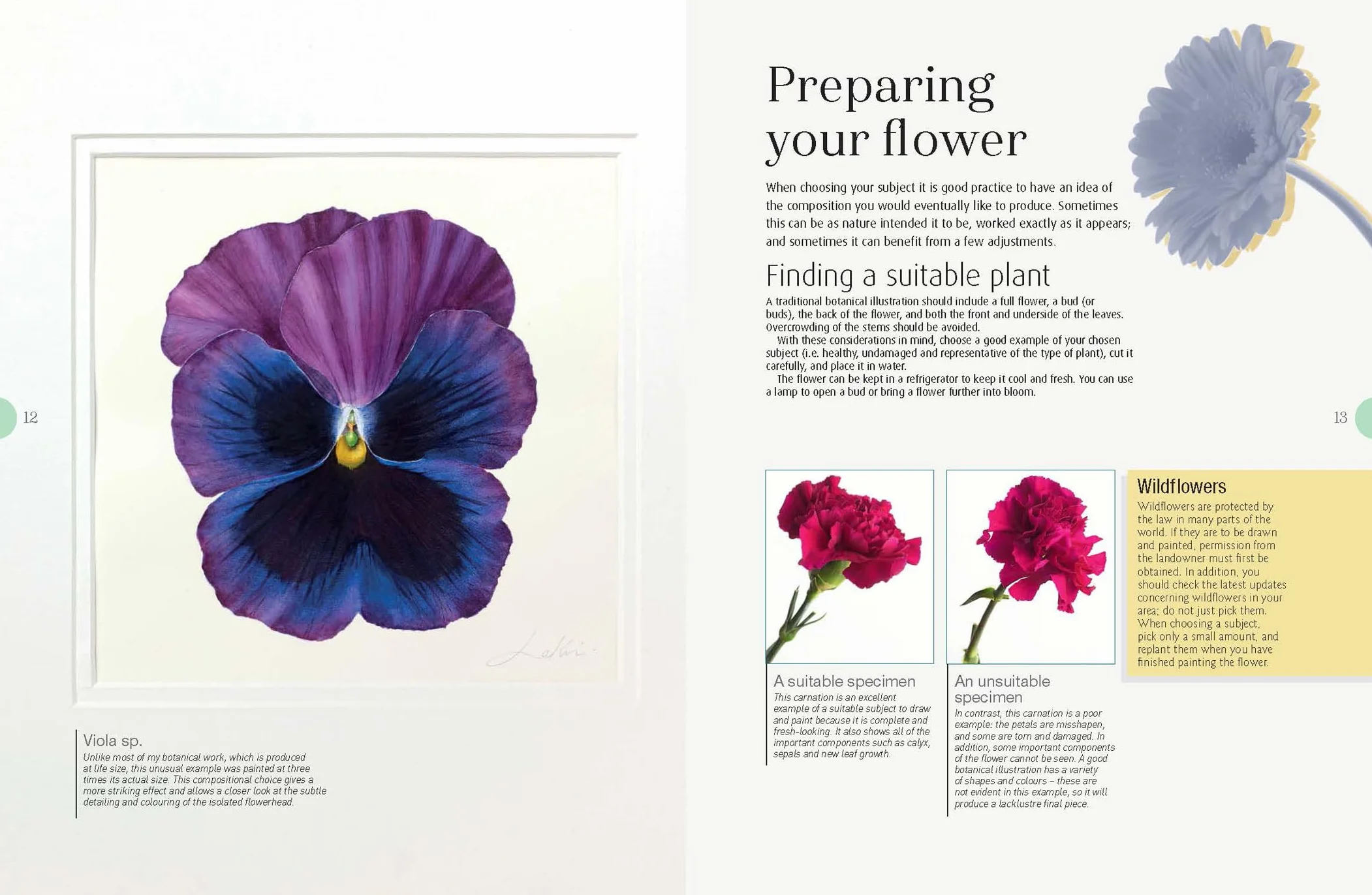 Beginner's Guide to Botanical Flower Painting