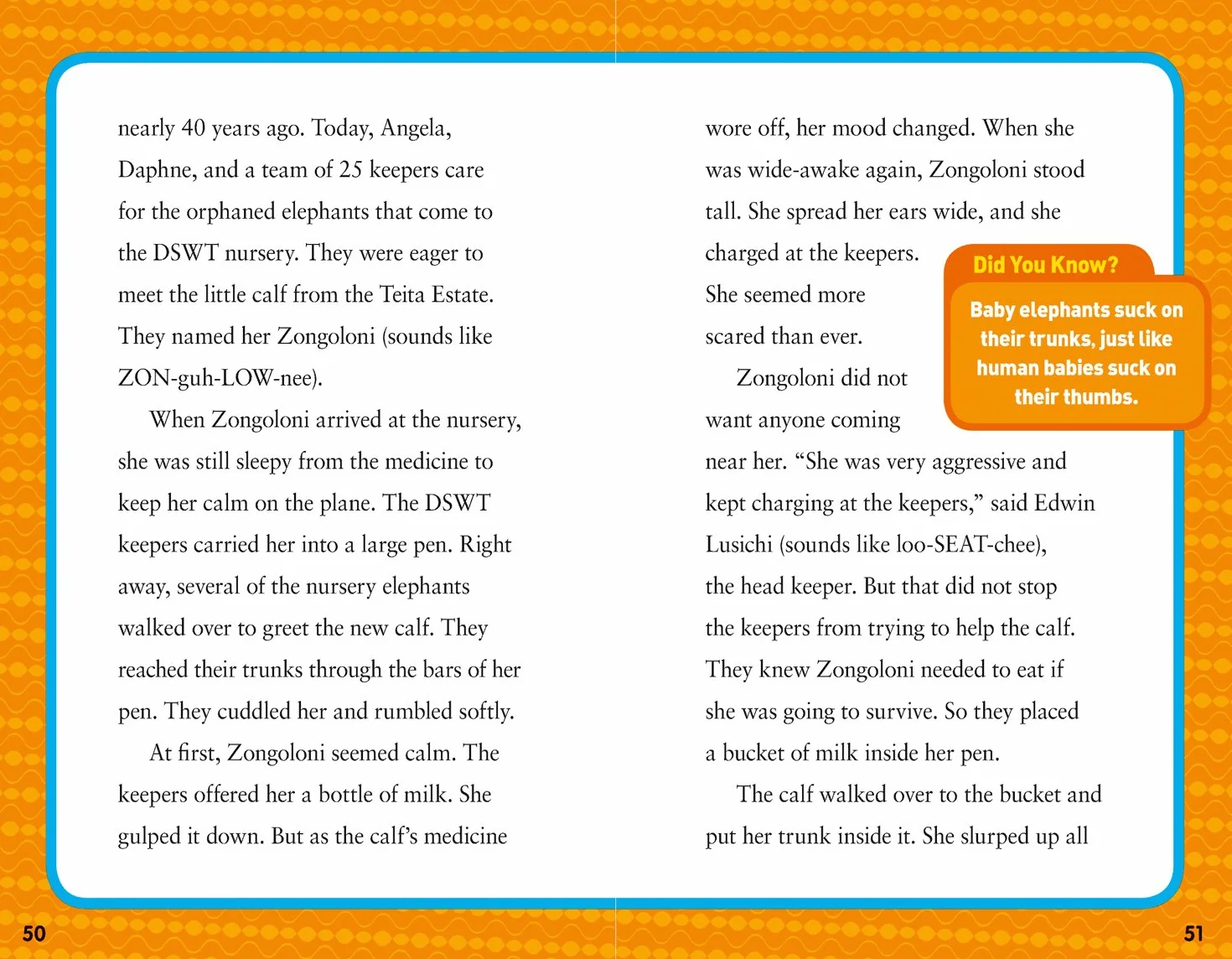 National Geographic Kids Chapters: Hoops to Hippos!: True Stories of a Basketball Star on Safari