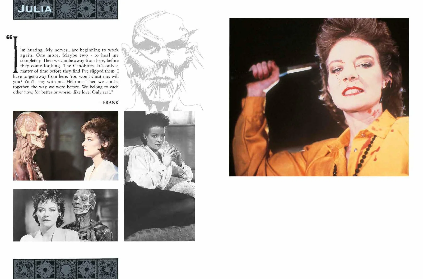 The Hellraiser Chronicles