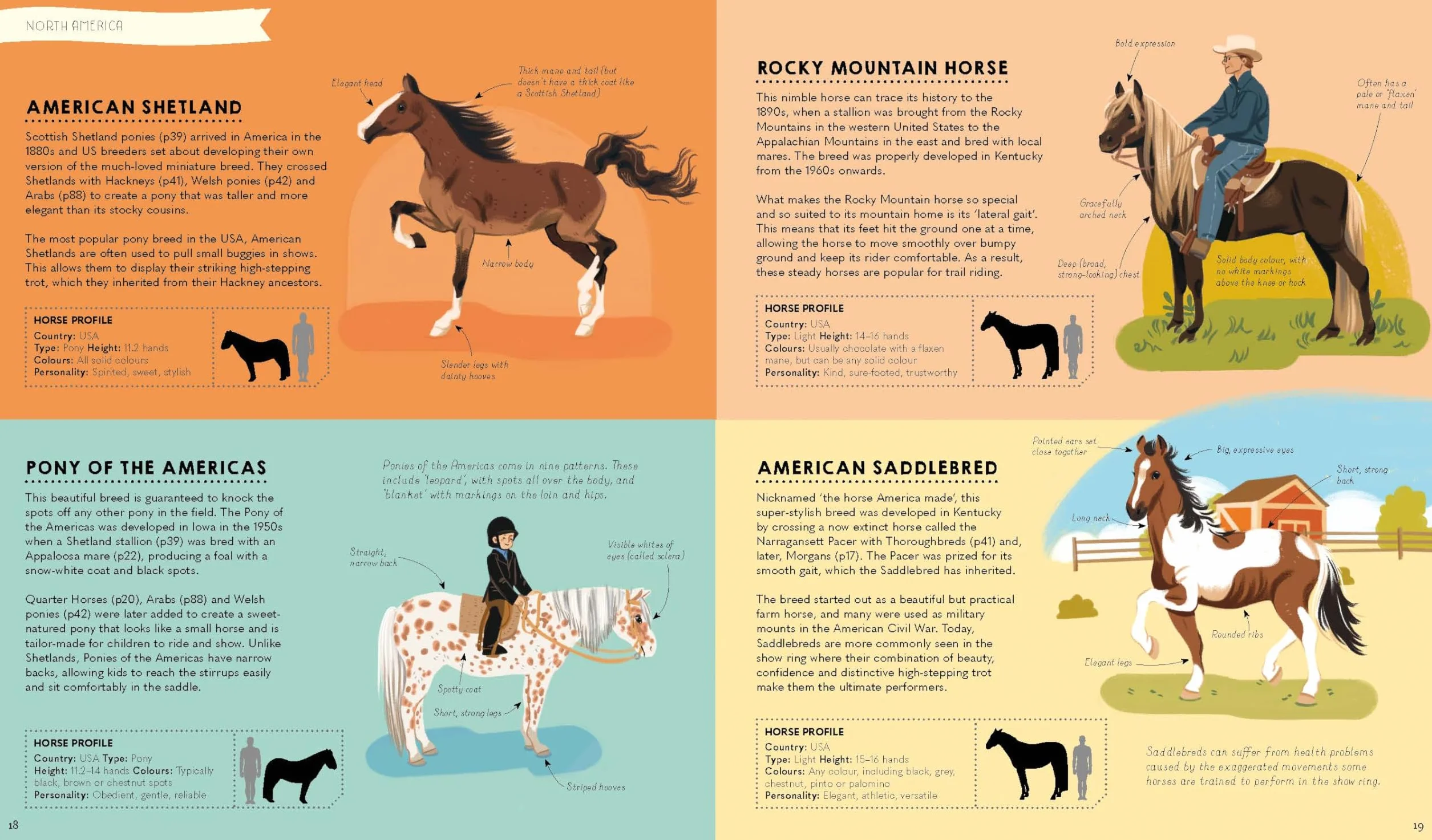 Atlas of Horses and Ponies: 100 Amazing Breeds From Around the World Fun Features Illustrations Learn About Super Senses Fascinating Facts