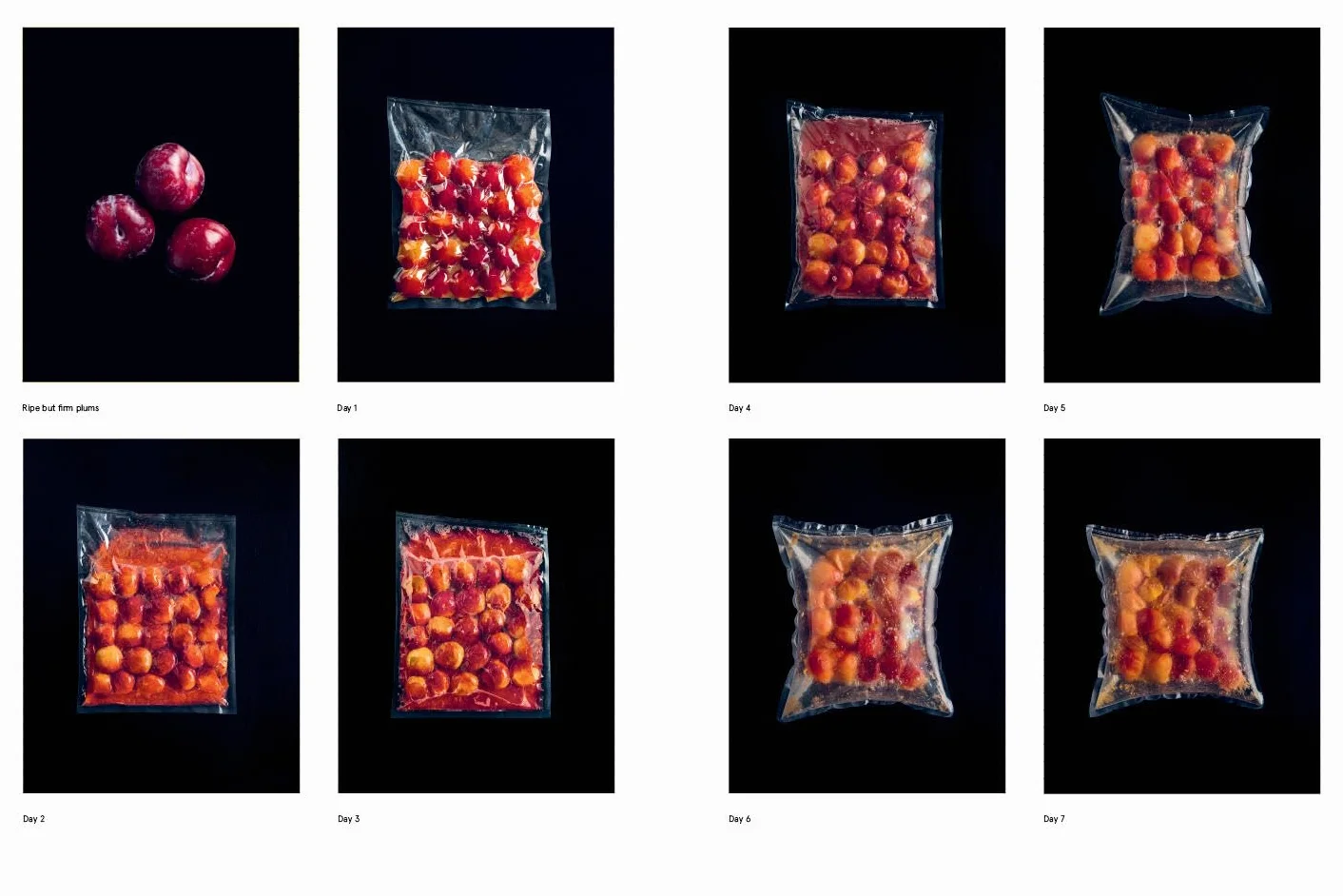 The Noma Guide to Fermentation: Koji, Kombuchas, Shoyus, Misos, Vinegars, Garums, Lacto-Ferments, Black Fruits & Vegetables