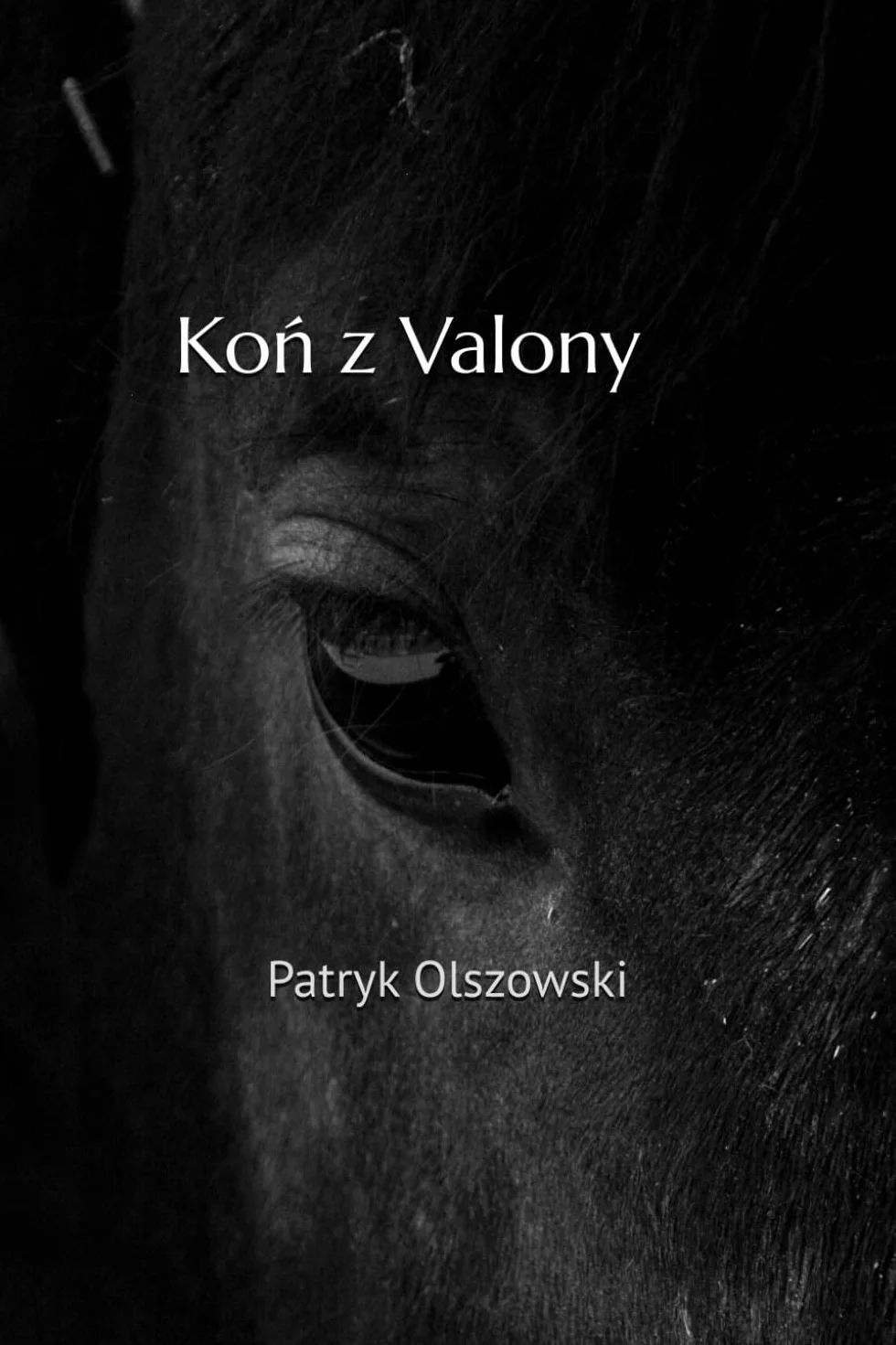 Koń z Valony