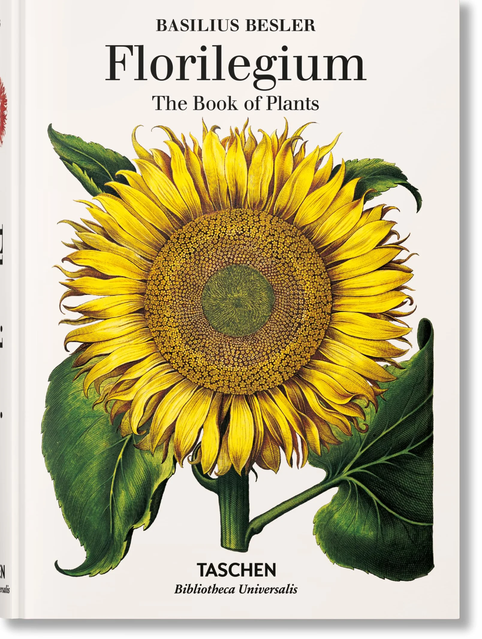 Basilius beslers florilegium the book of plants anglais