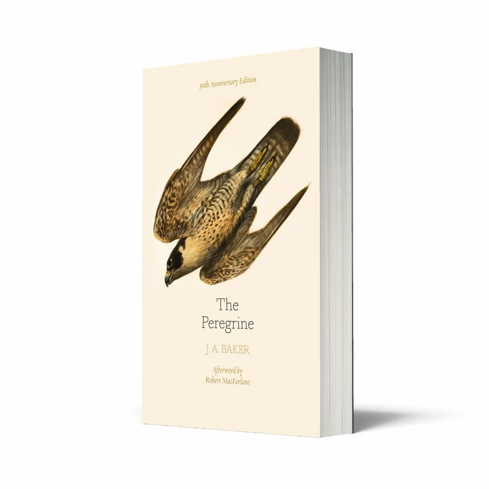 The Peregrine: 50th Anniversary Edition
