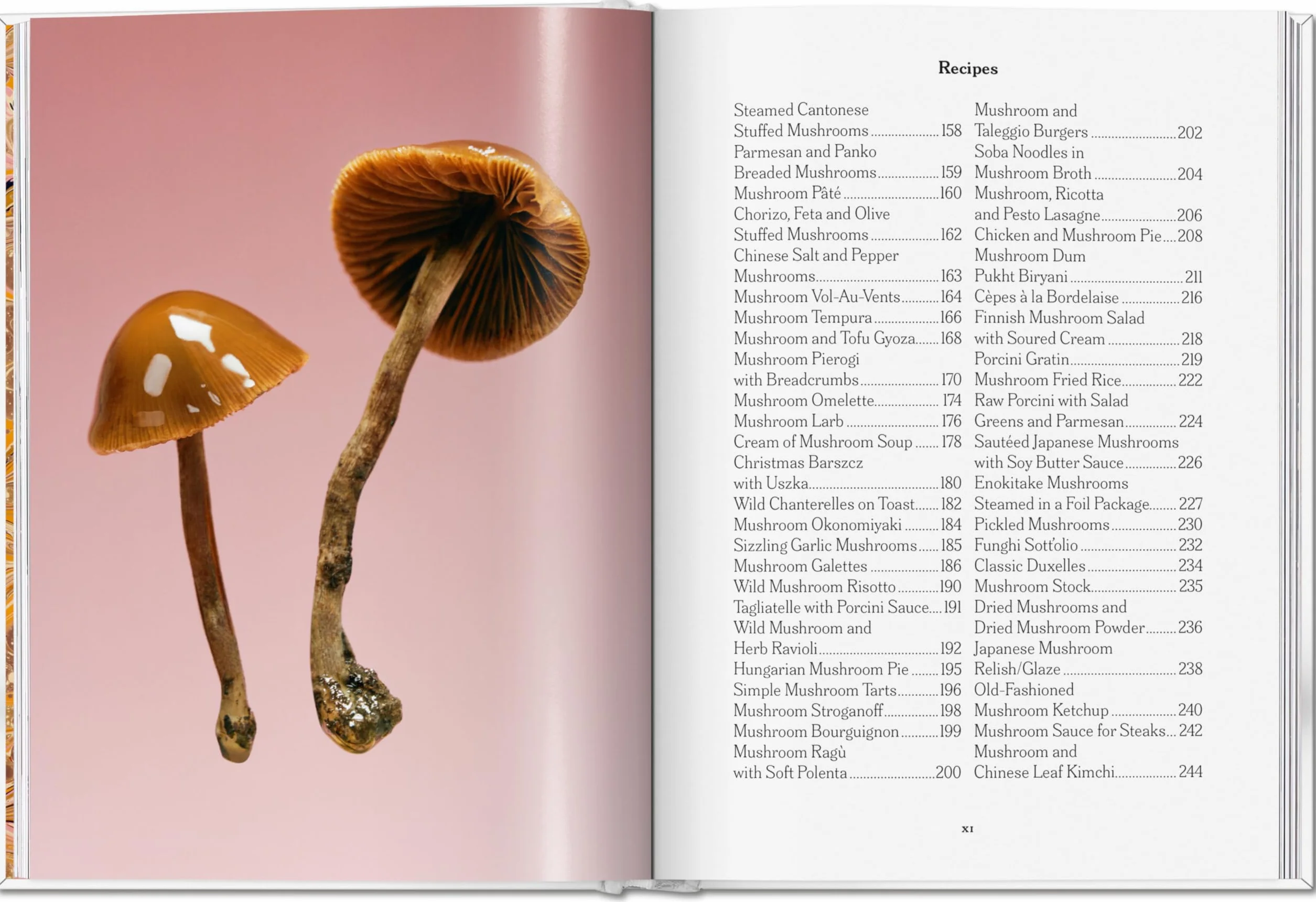The Gourmand's Mushroom: A Collection of Stories & Recipes