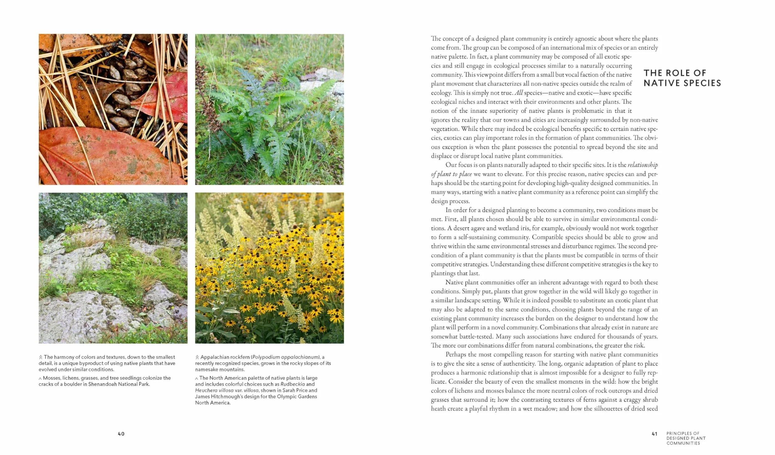 Planting in a Post-Wild World: Designing Plant Communities for Resilient Landscapes