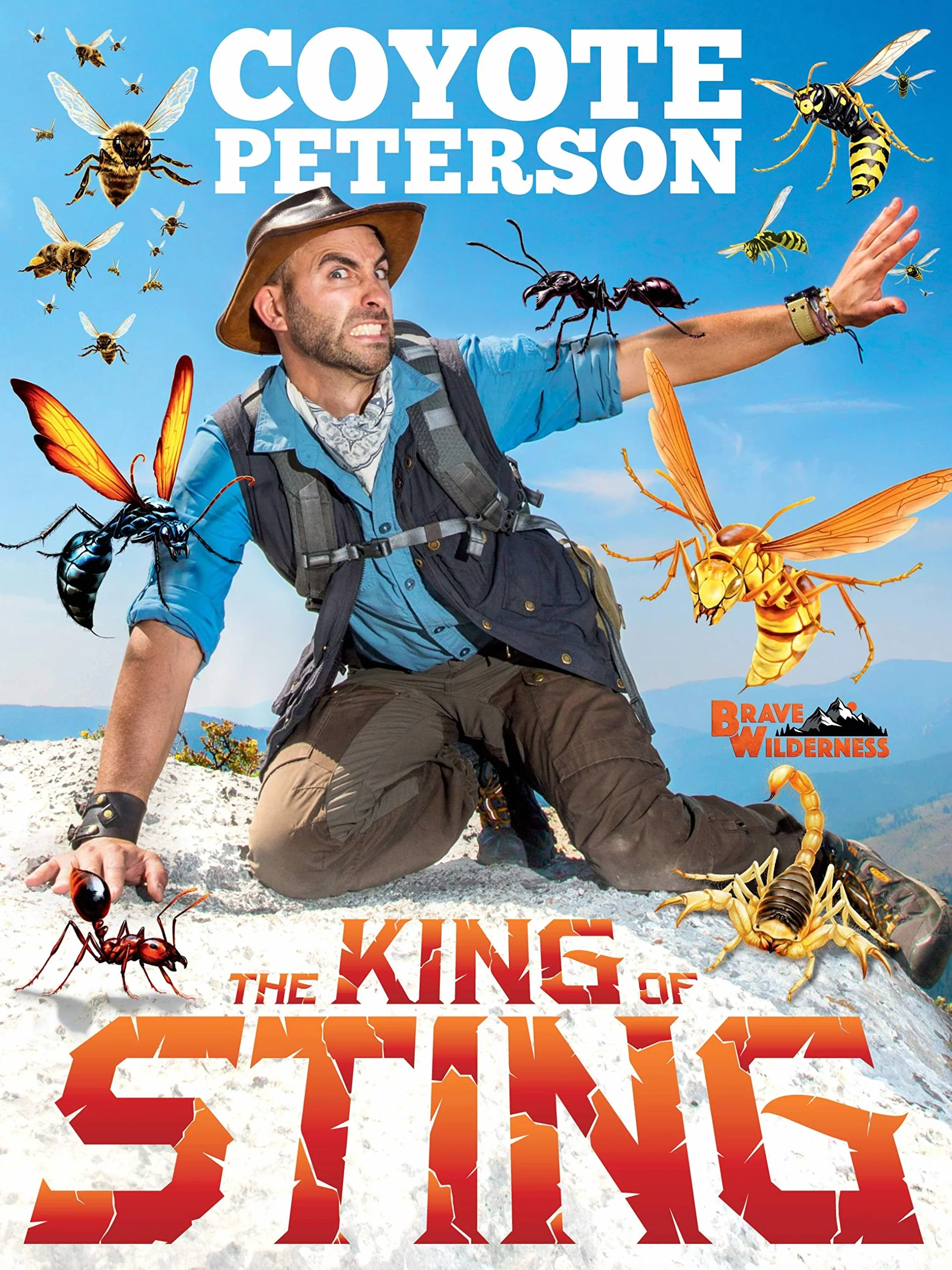 The King of Sting