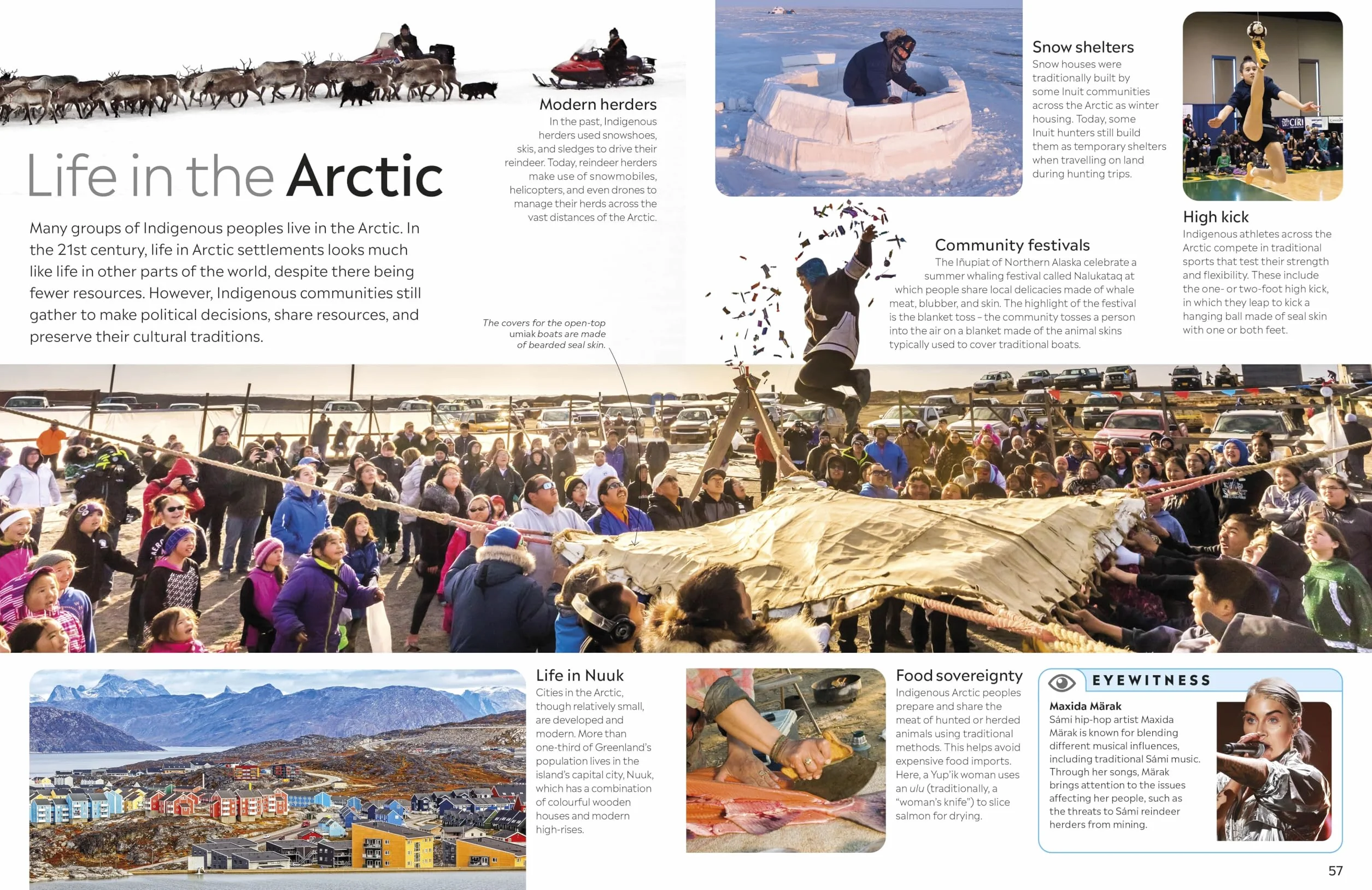 Arctic and Antarctic: DK Eyewitness