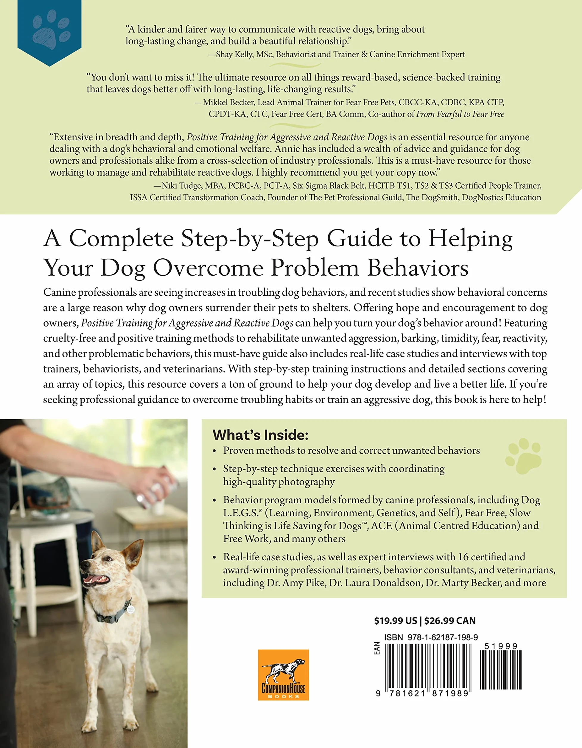 Positive Training for Aggressive and Reactive Dogs: Proven Techniques to Help Your Dog Overcome Fear and Anxiety
