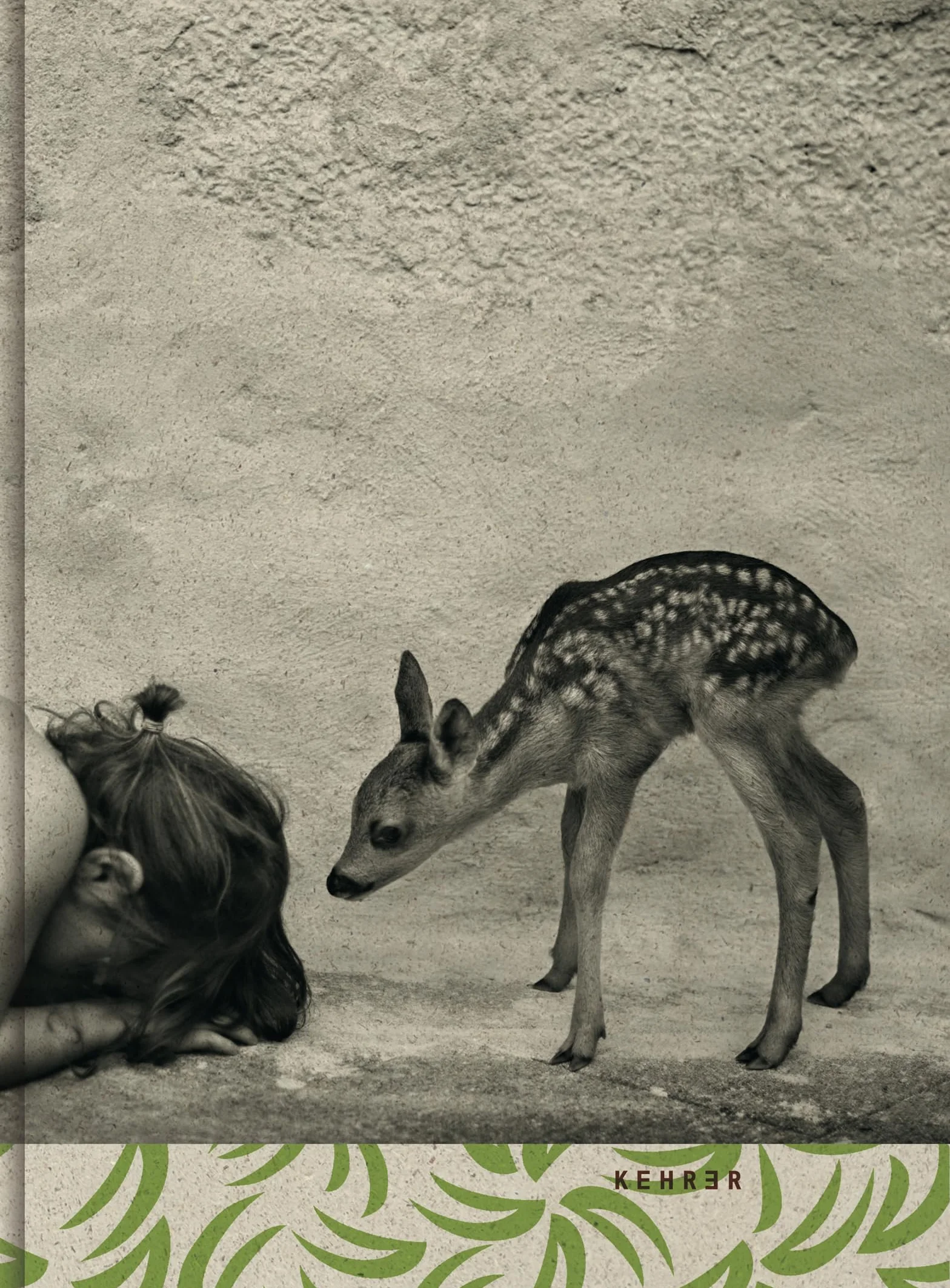 Summer of fawn