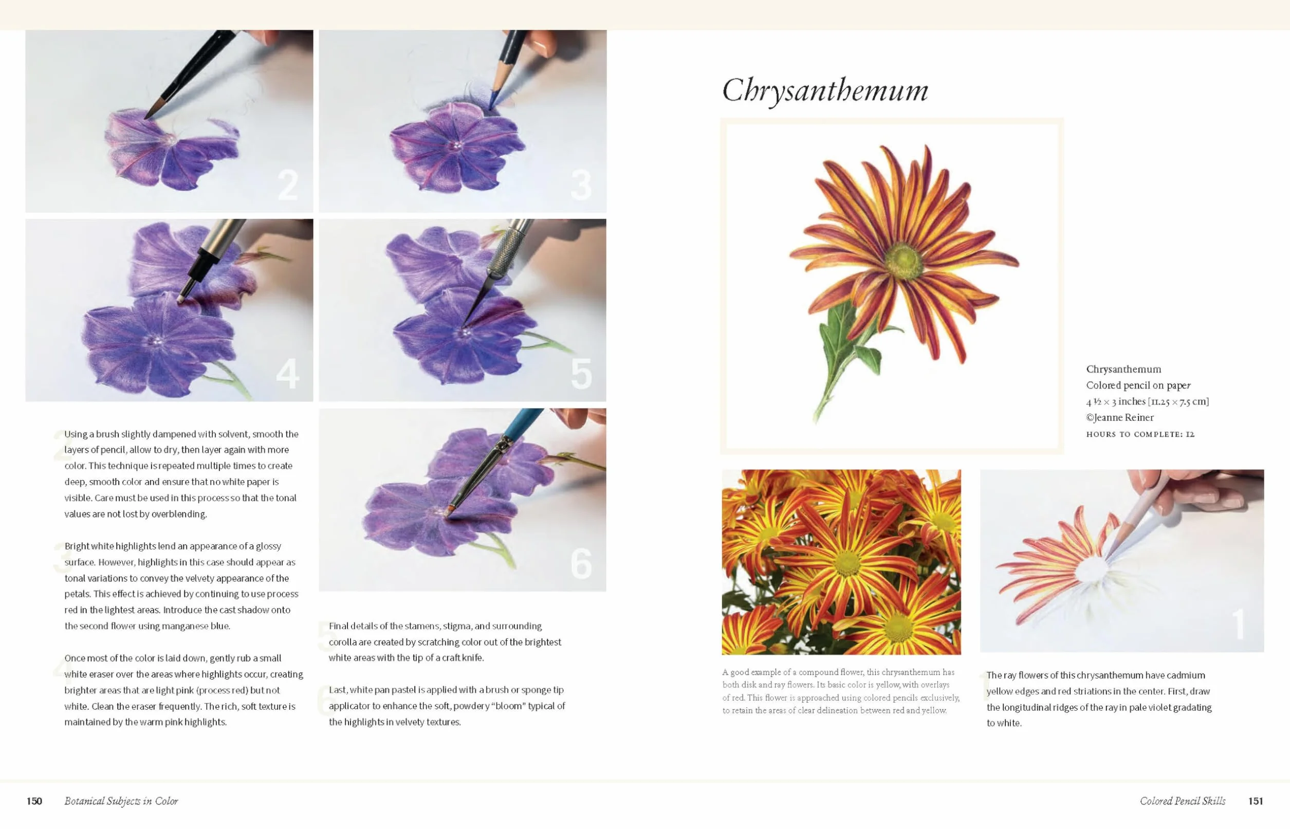 Botanical Art Techniques: A Comprehensive Guide to Watercolor, Graphite, Colored Pencil, Pen and Ink, Egg Tempera, Oils, Printmaking