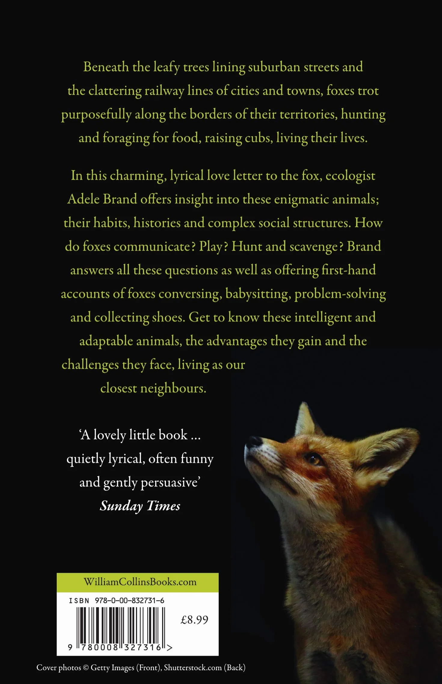 The Hidden World of the Fox: A Deeply Observed Natural History of the Secret Lives of Urban and Rural Wildlife
