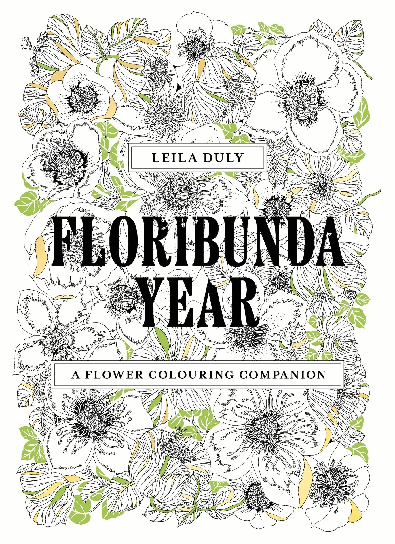 Floribunda Year: A Flower Colouring Companion