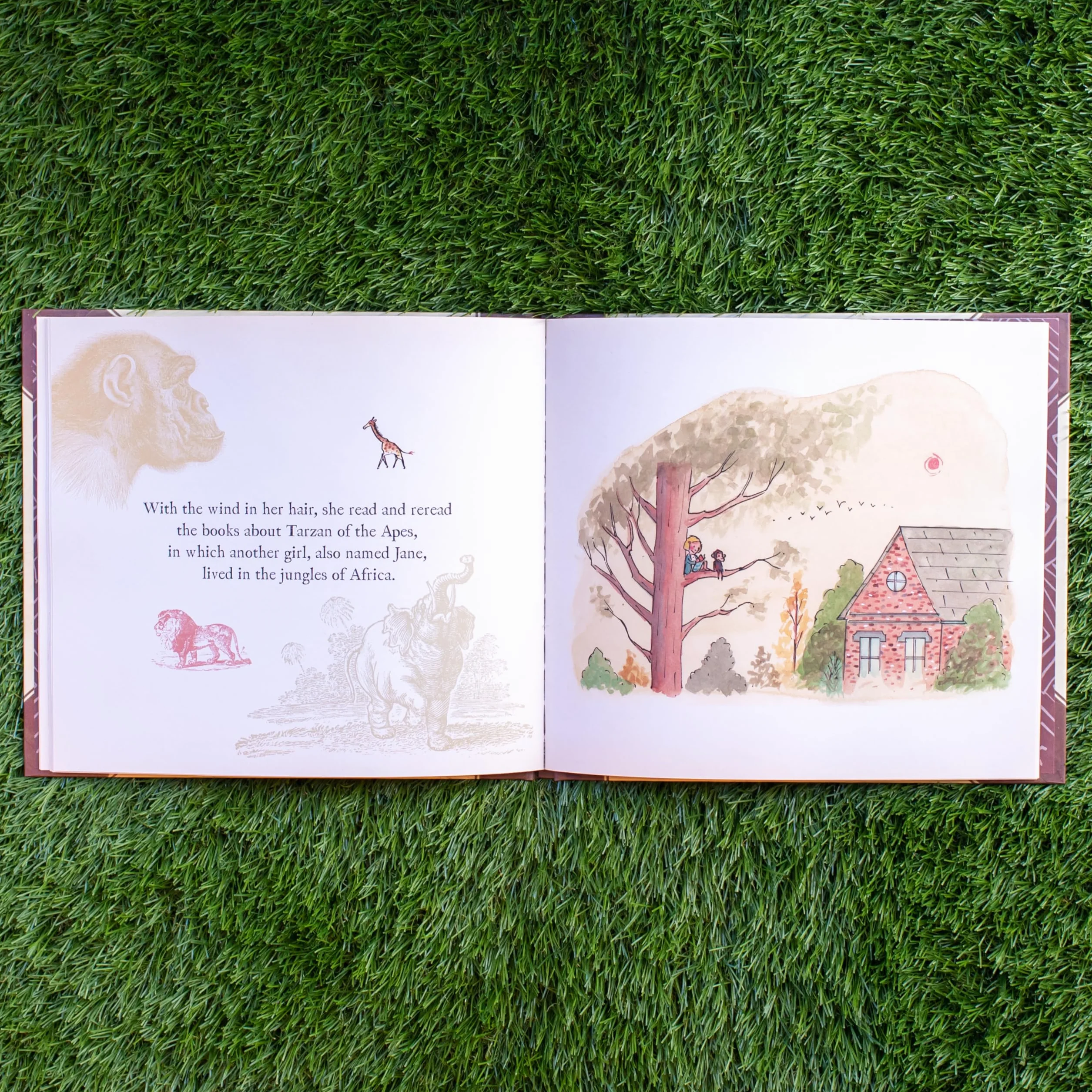 Me . . . Jane (Caldecott Honor Book)