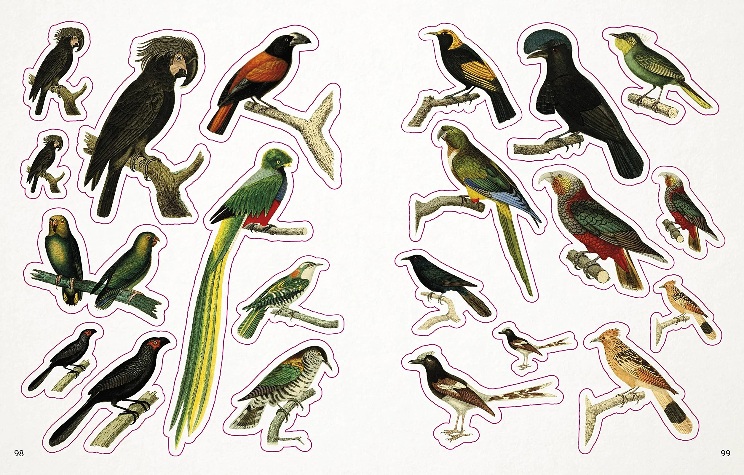 The Bees, Birds & Butterflies Sticker Anthology: With More Than 1,000 Vintage Stickers