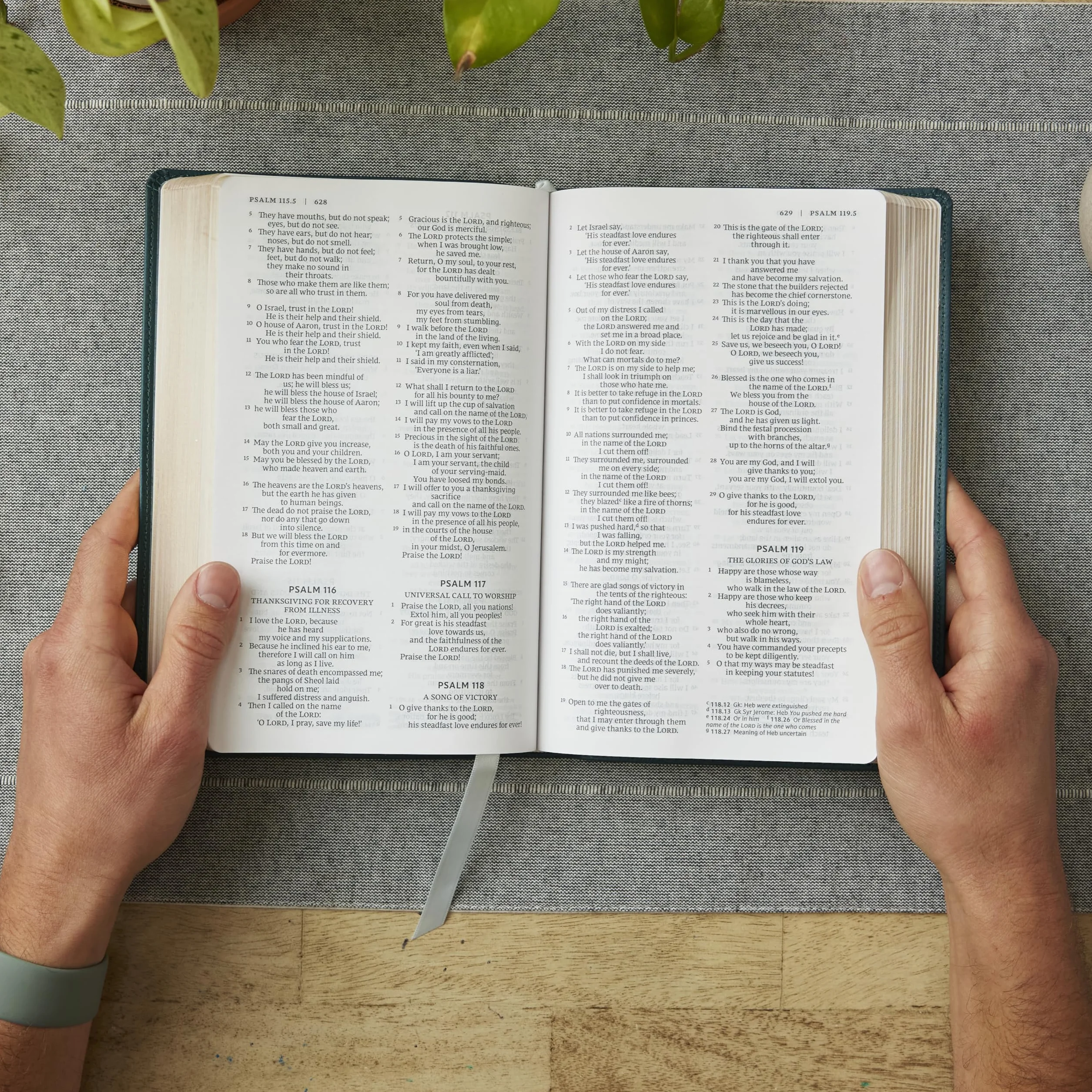 Catholic Bible, Leathersoft, White, Comfort Print, Nrsv, Gift Edition
