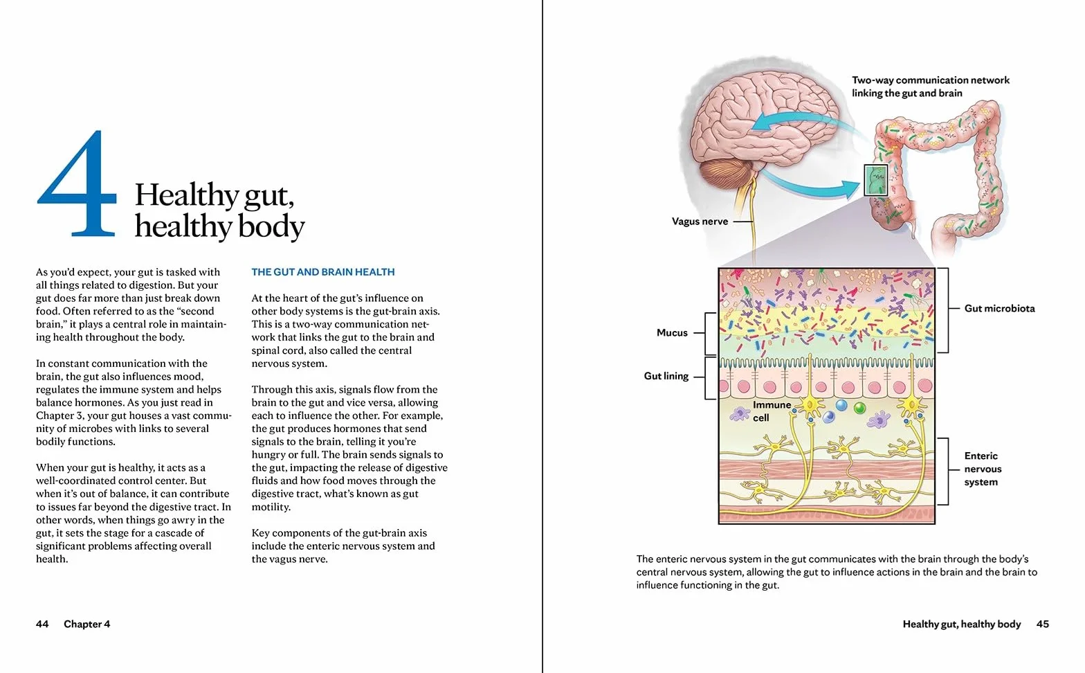 Mayo Clinic Guide to Gut Health: Restore Microbiome, Enhance Digestion