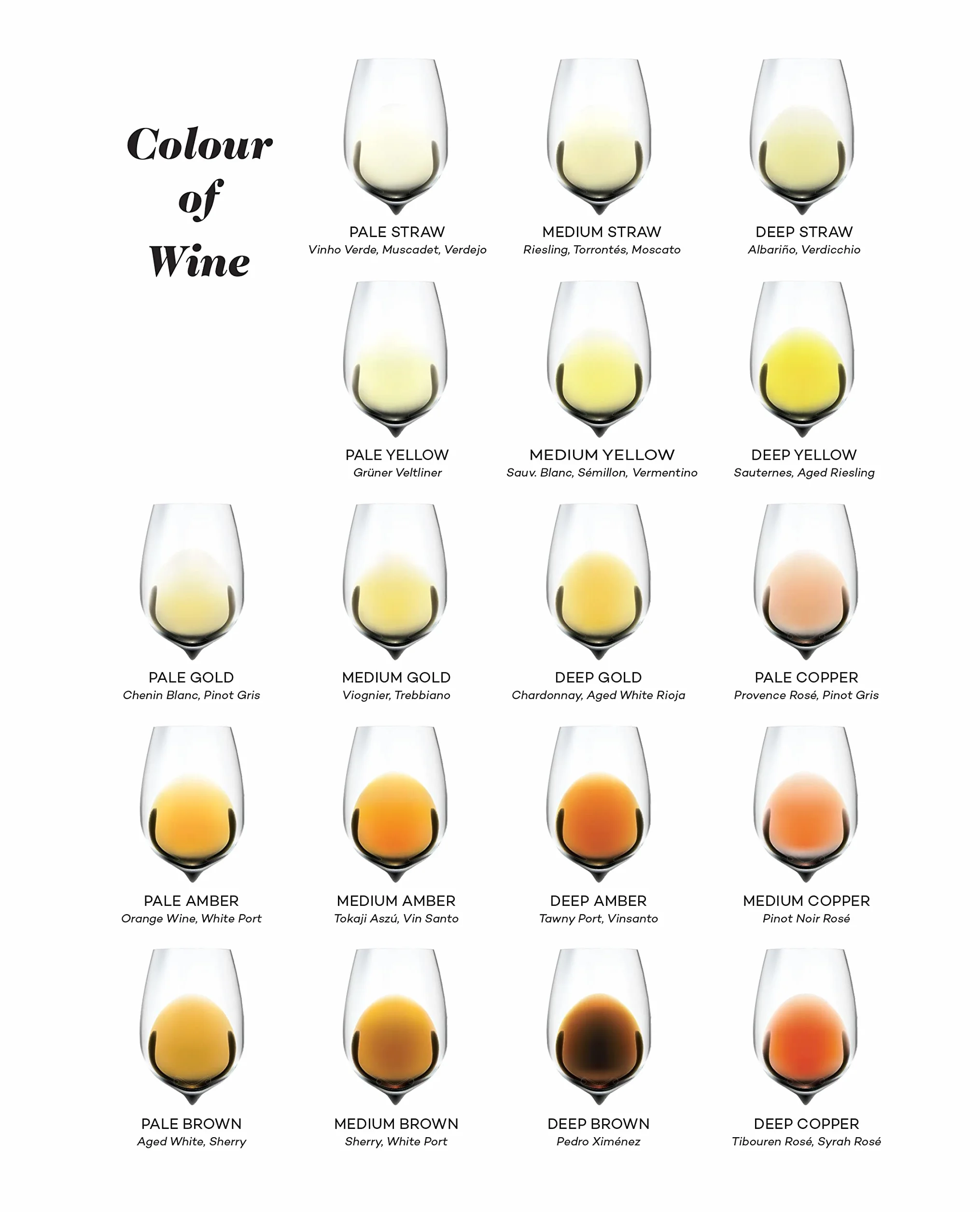 Wine Folly Magnum Edition: The Master Guide