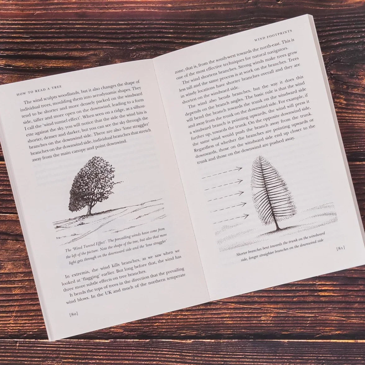 How to Read a Tree: Nature Lovers Spring Adventures