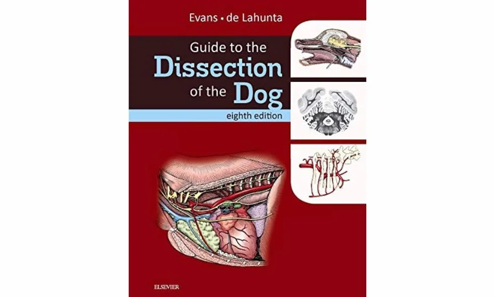 Guide to the Dissection of the Dog