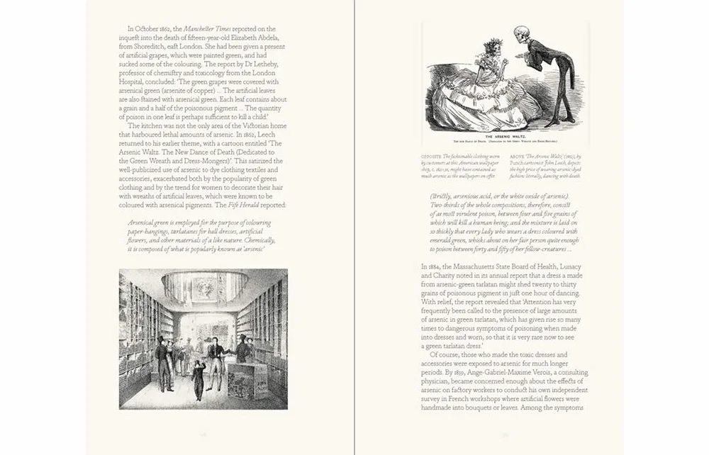 Bitten By Witch Fever /anglais: Wallpaper & Arsenic in the Victorian Home