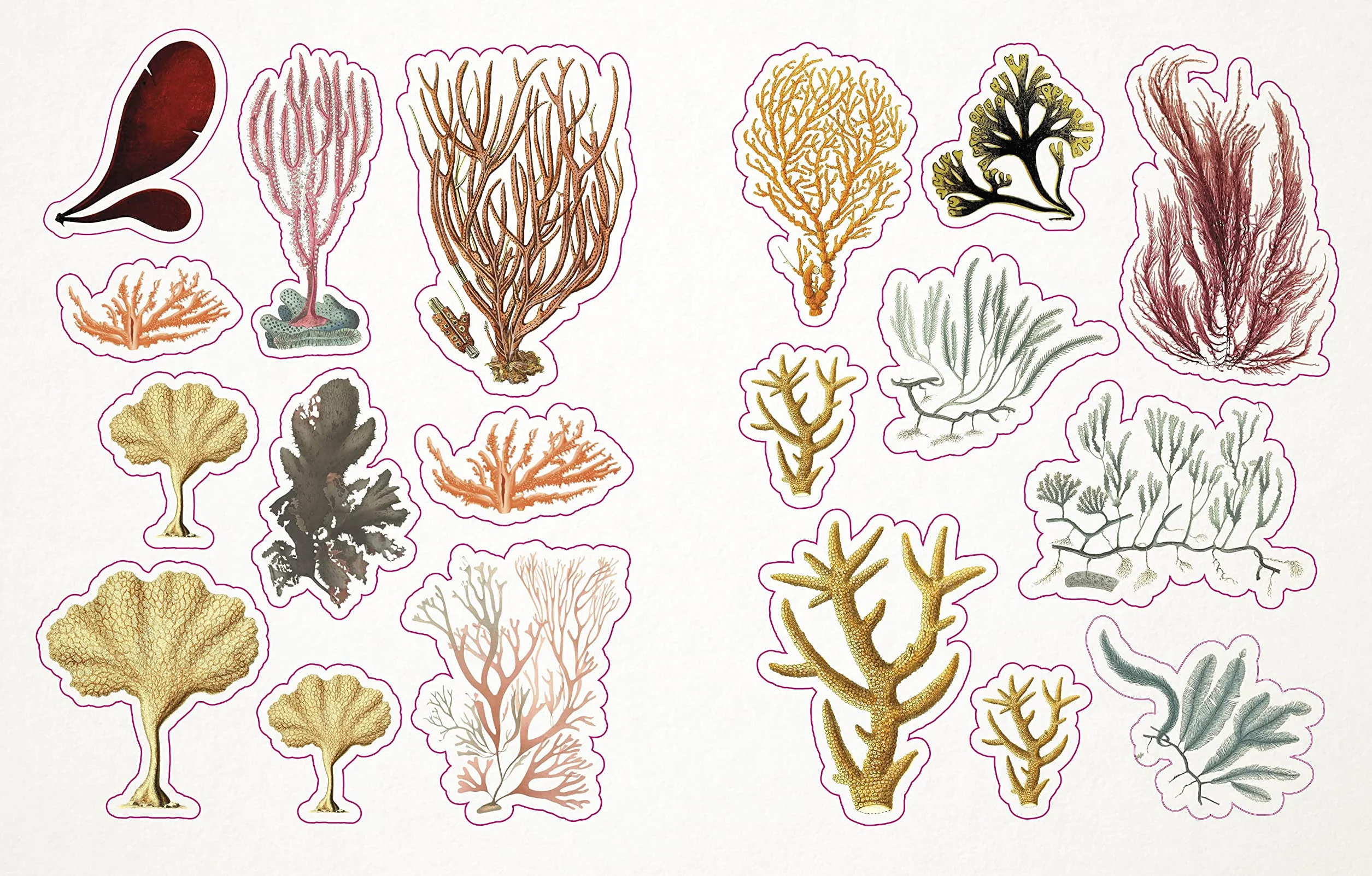 The Seashore Sticker Anthology: 1,000+ Vintage Stickers