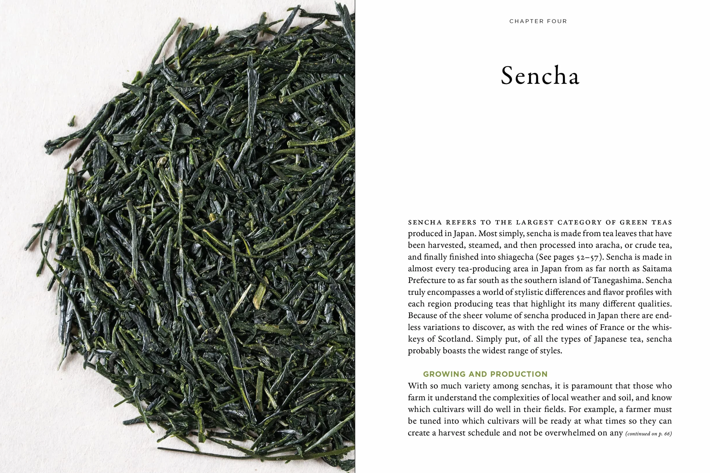 Stories of Japanese Tea: The Regions, the Growers, and the Craft