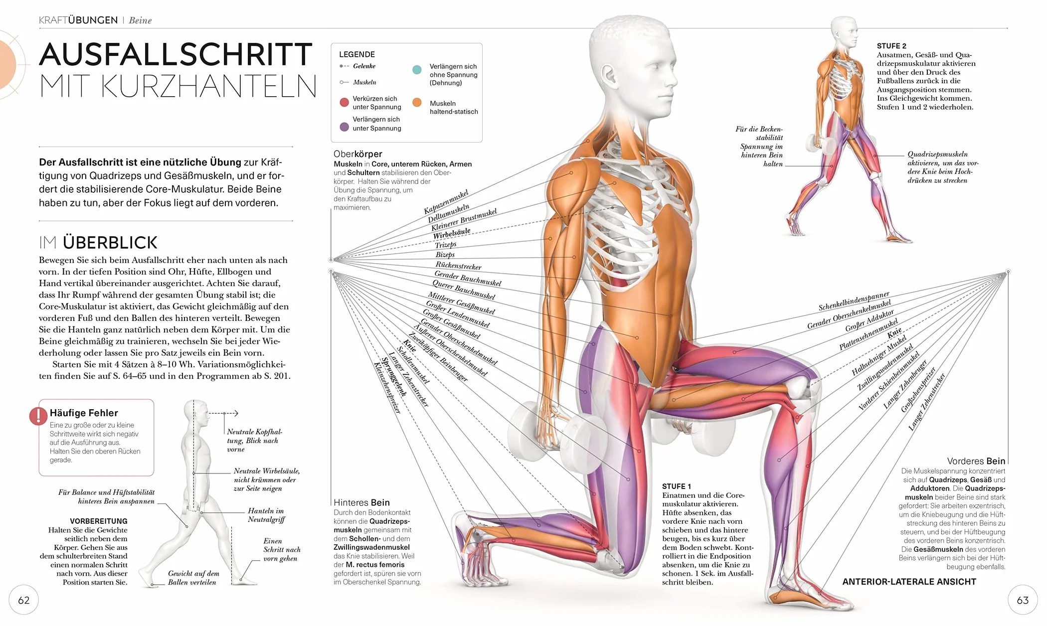 Krafttraining - Die Anatomie verstehen: Mit Übungen zum gezielten Muskelaufbau für einen definierten Körper
