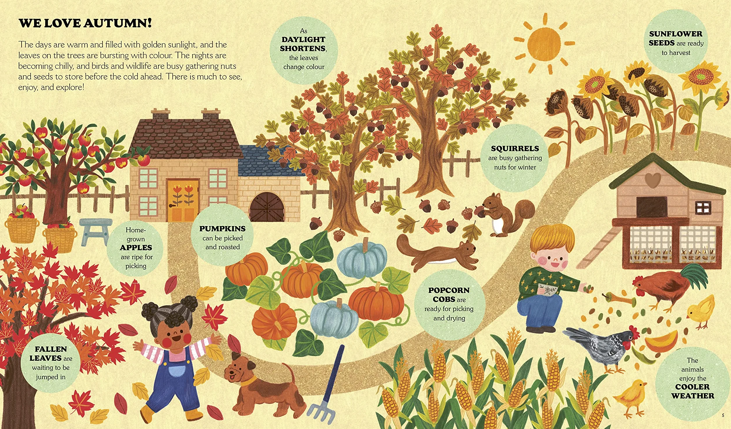 Little Country Cottage: An Autumn Treasury of Recipes, Crafts and Wisdom
