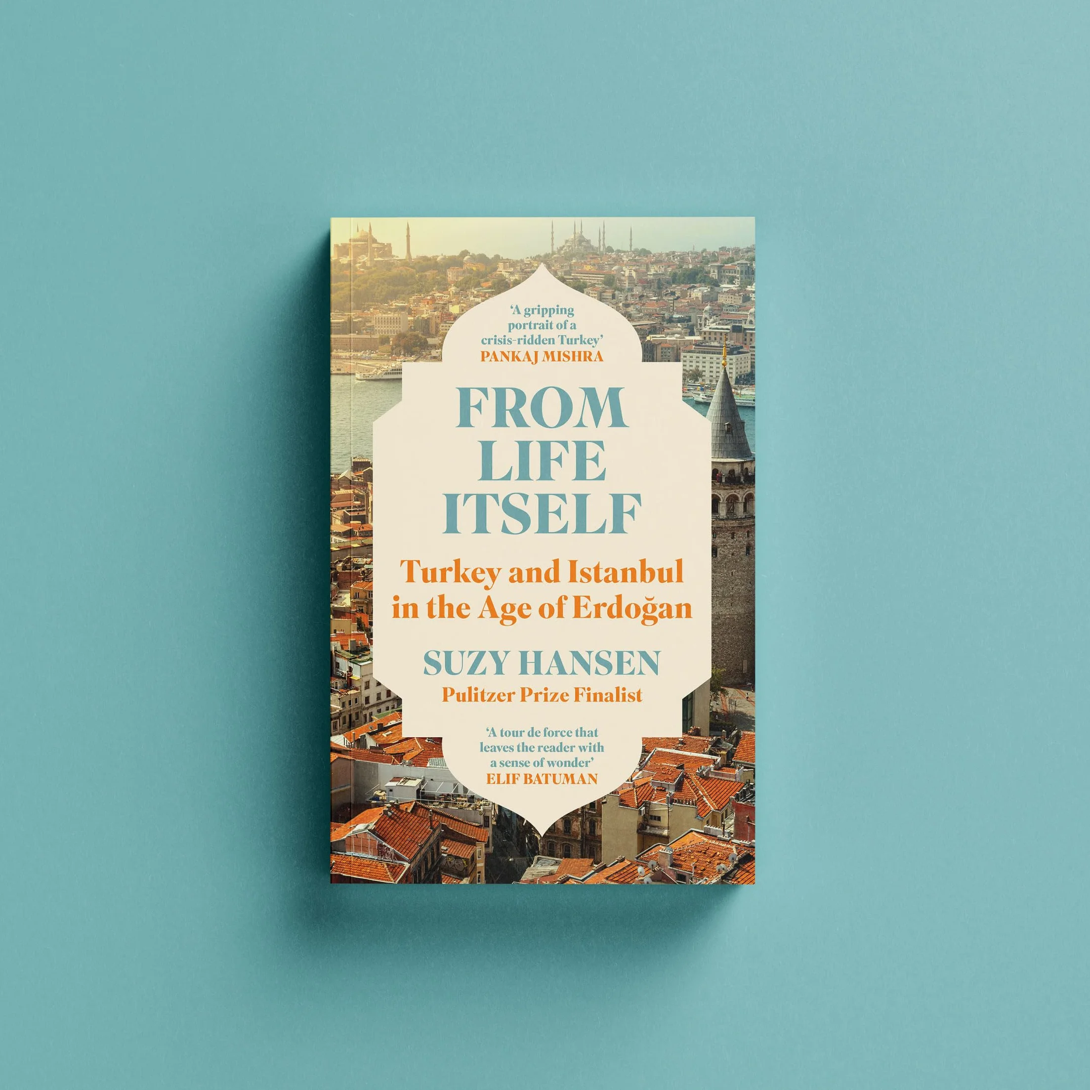 From Life Itself: Turkey and Istanbul in the Age of Erdogan