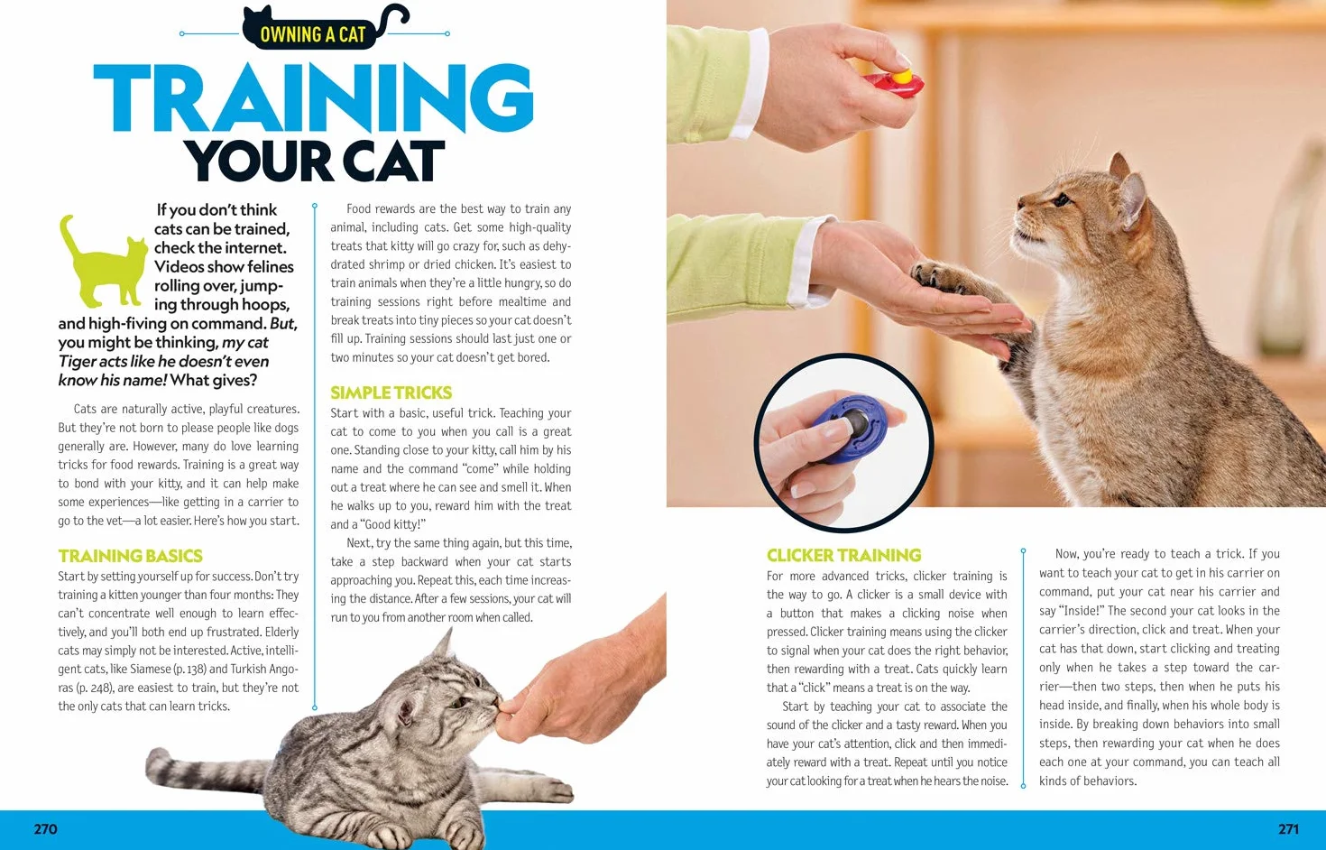 Cat Breed Guide: A complete reference to your purr-fect best friend