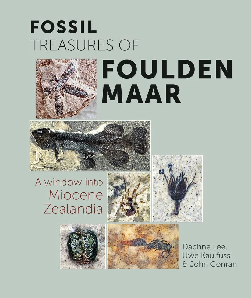 Fossil Treasures of Foulden Maar: A Window Into Miocene Zealandia