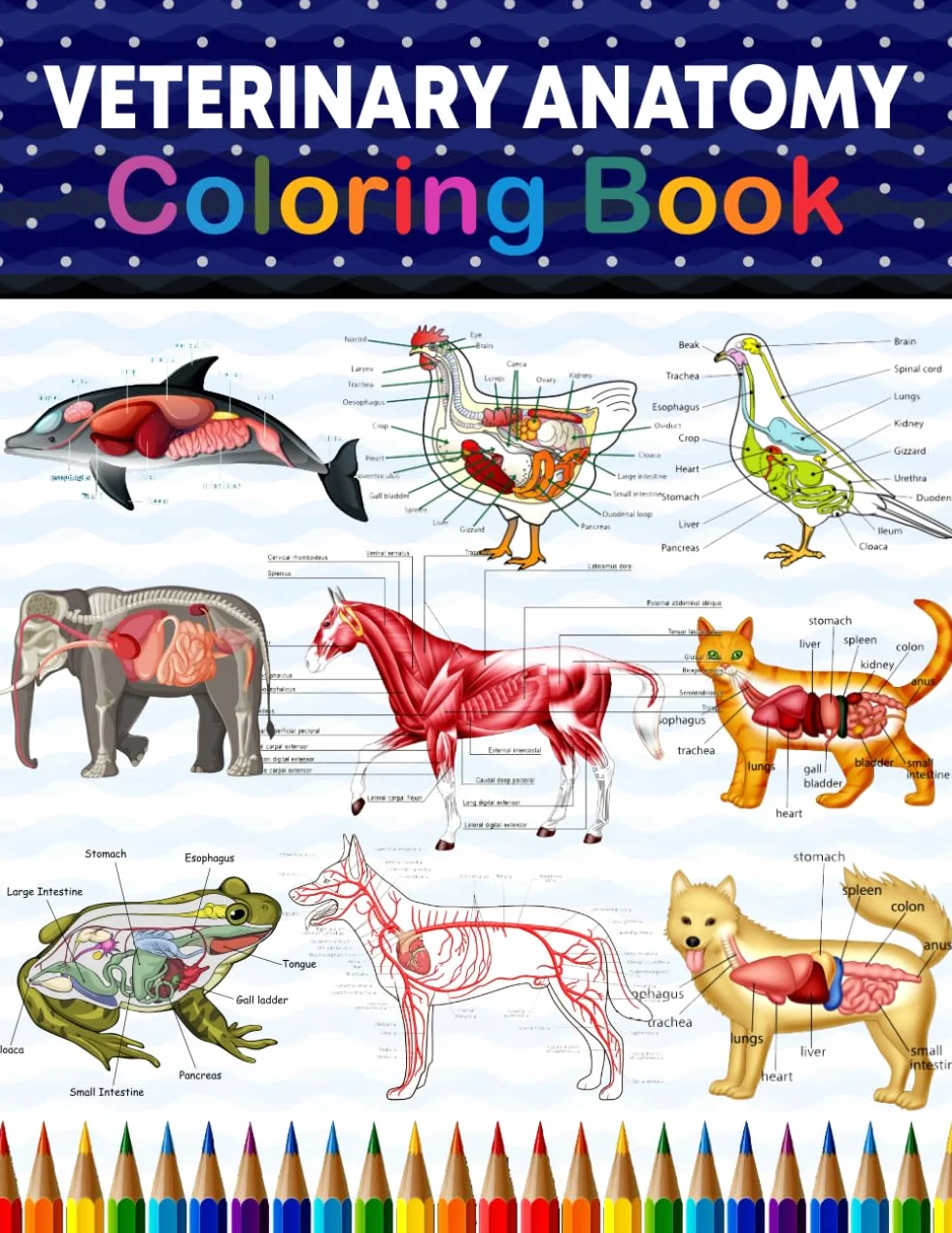 Veterinary Anatomy Coloring Book: Self-Test Workbook for Animal Anatomy Students, Medical & Nursing Students