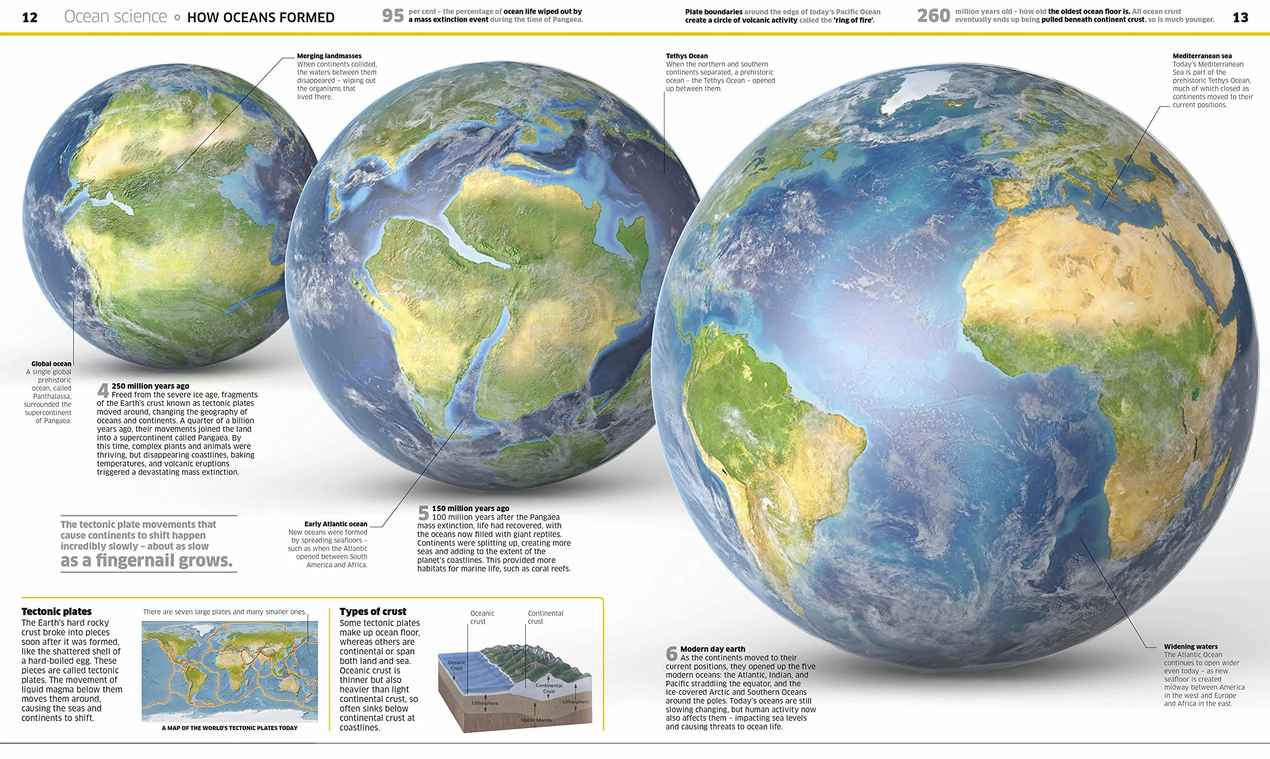 Knowledge Encyclopedia Ocean!: Our Watery World As You've Never Seen It Before